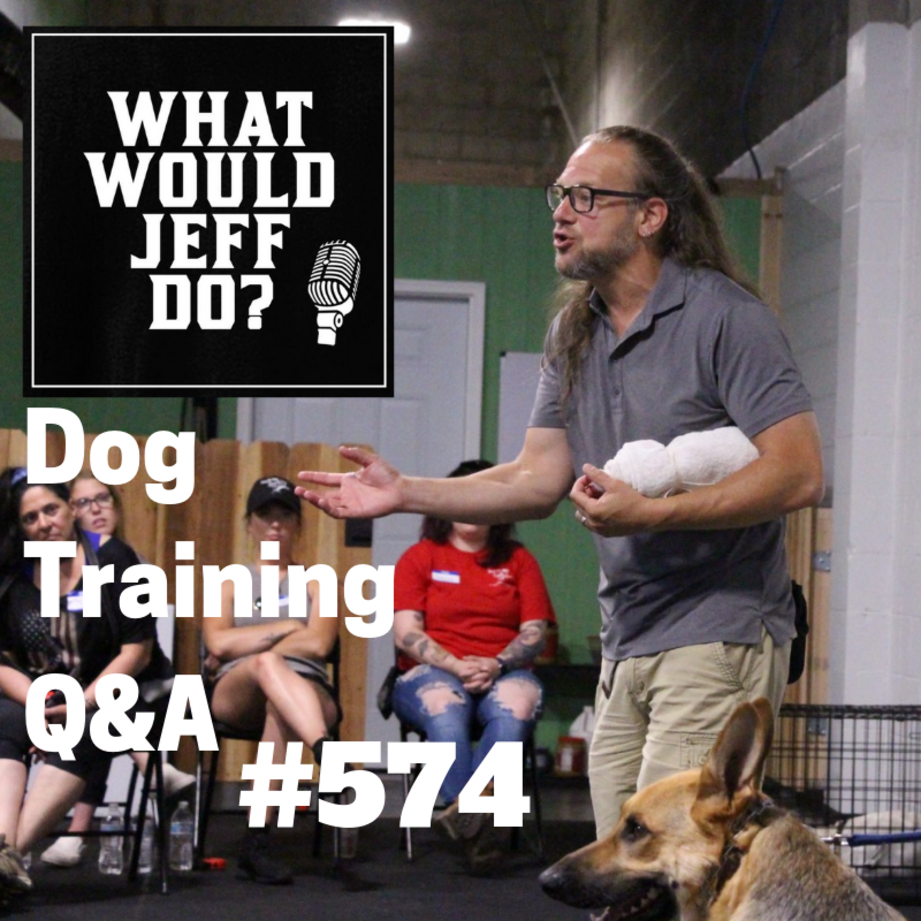Dog Training - Stop Dog Resource Guarding - Dog Lunging - What Would Jeff Do? Q&A Ep.574 (2019) episode artwork