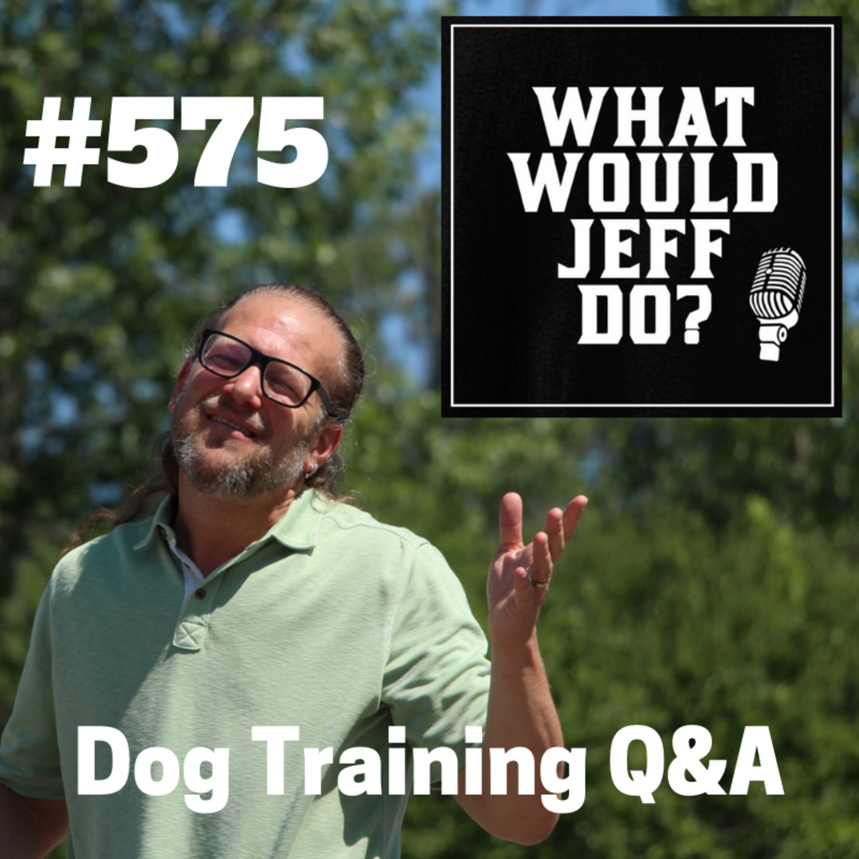 Dog Training - Stop Dog Fights - Dog Jumping - What Would Jeff Do? Q&A Ep.575 (2019) episode artwork