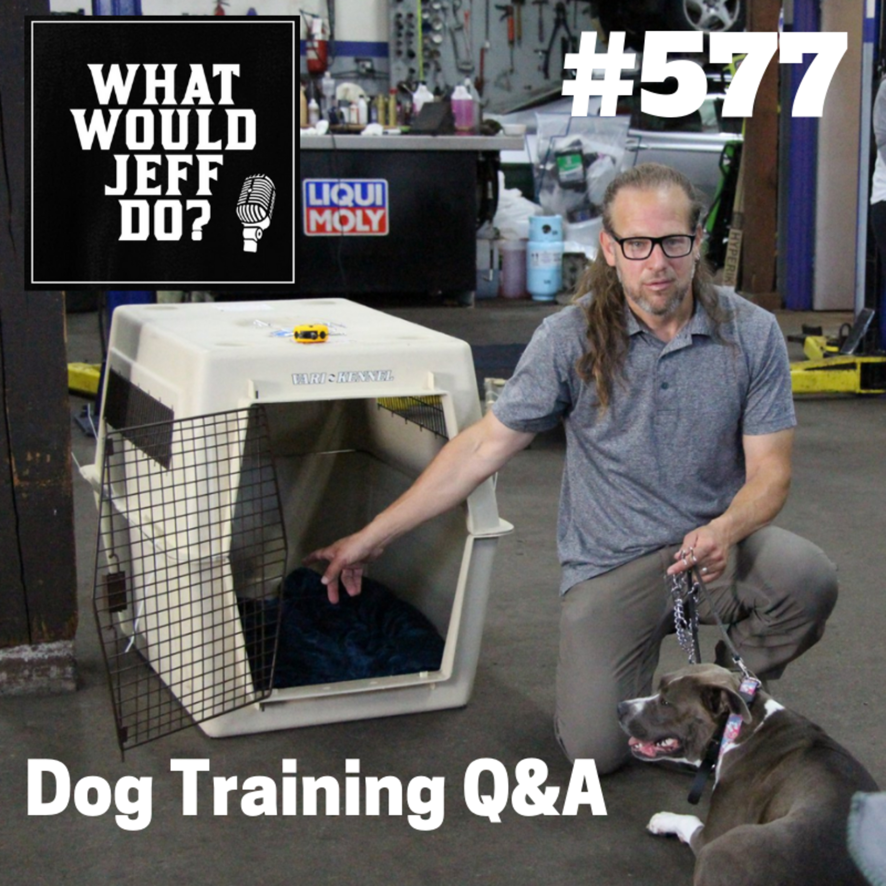 Dog Training - Dog Lunges - Fearful Dogs - What Would Jeff Do? Q&A Ep.577 (2019) episode artwork