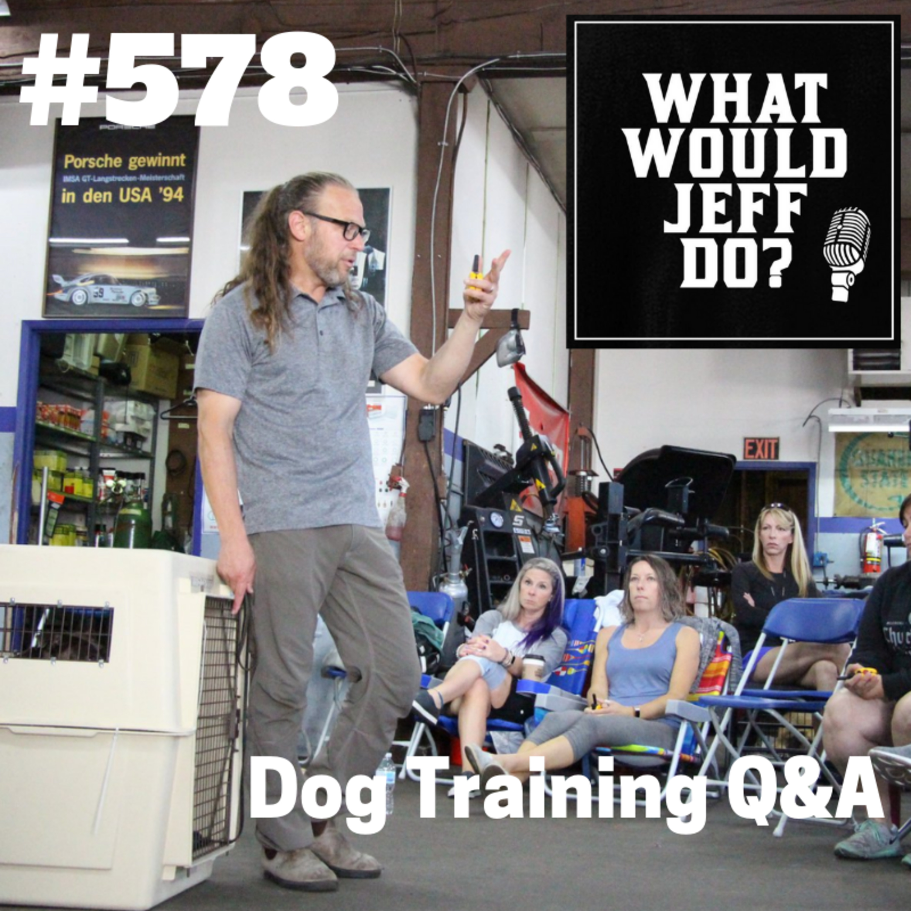 Dog Training - Training Dogs Recall - E collar dog training - What Would Jeff Do? Q&A Ep.578 (2019) episode artwork