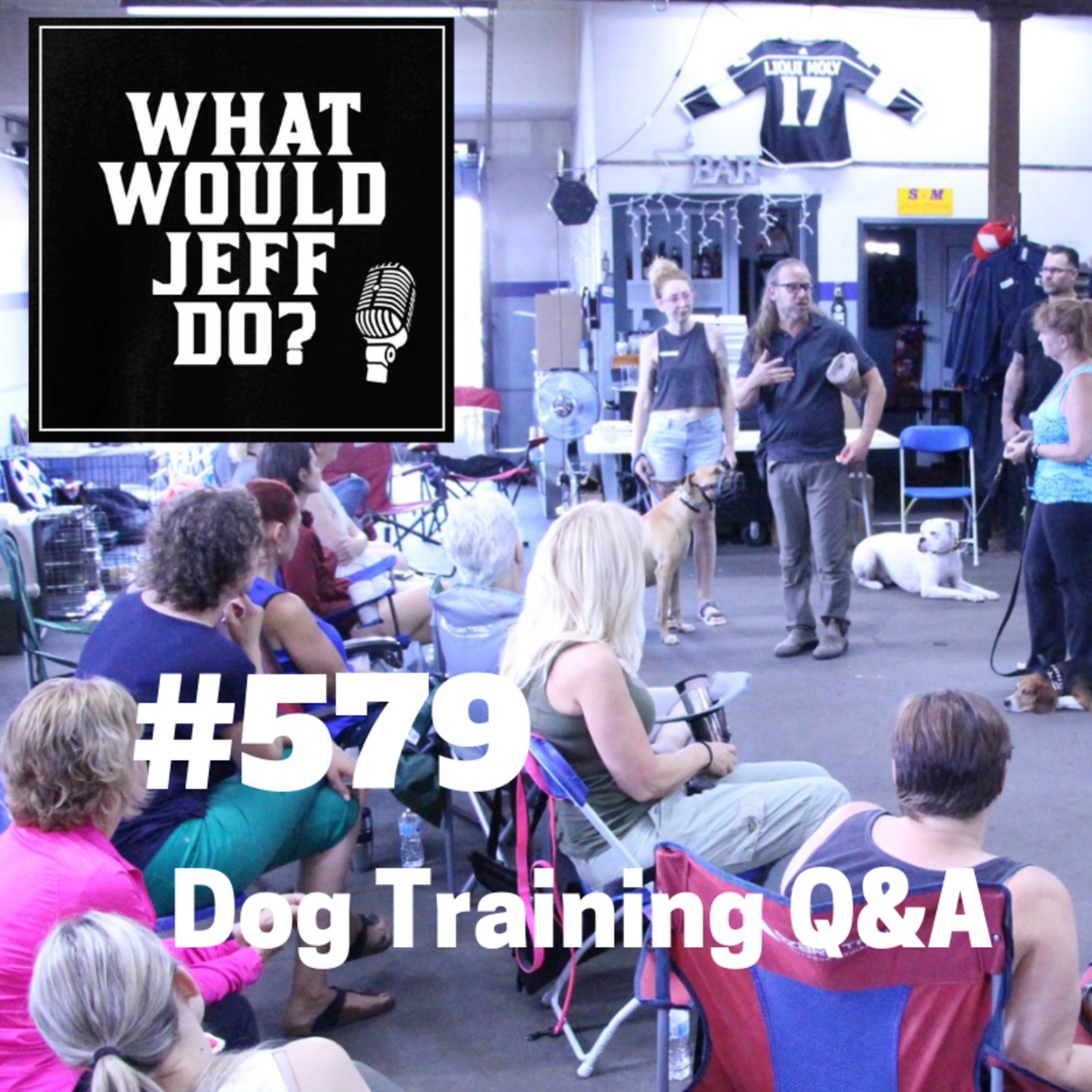 Dog Training - Dogs with Separation Anxiety - Barking Dogs - What Would Jeff Do? Q&A Ep.578 (2019) episode artwork