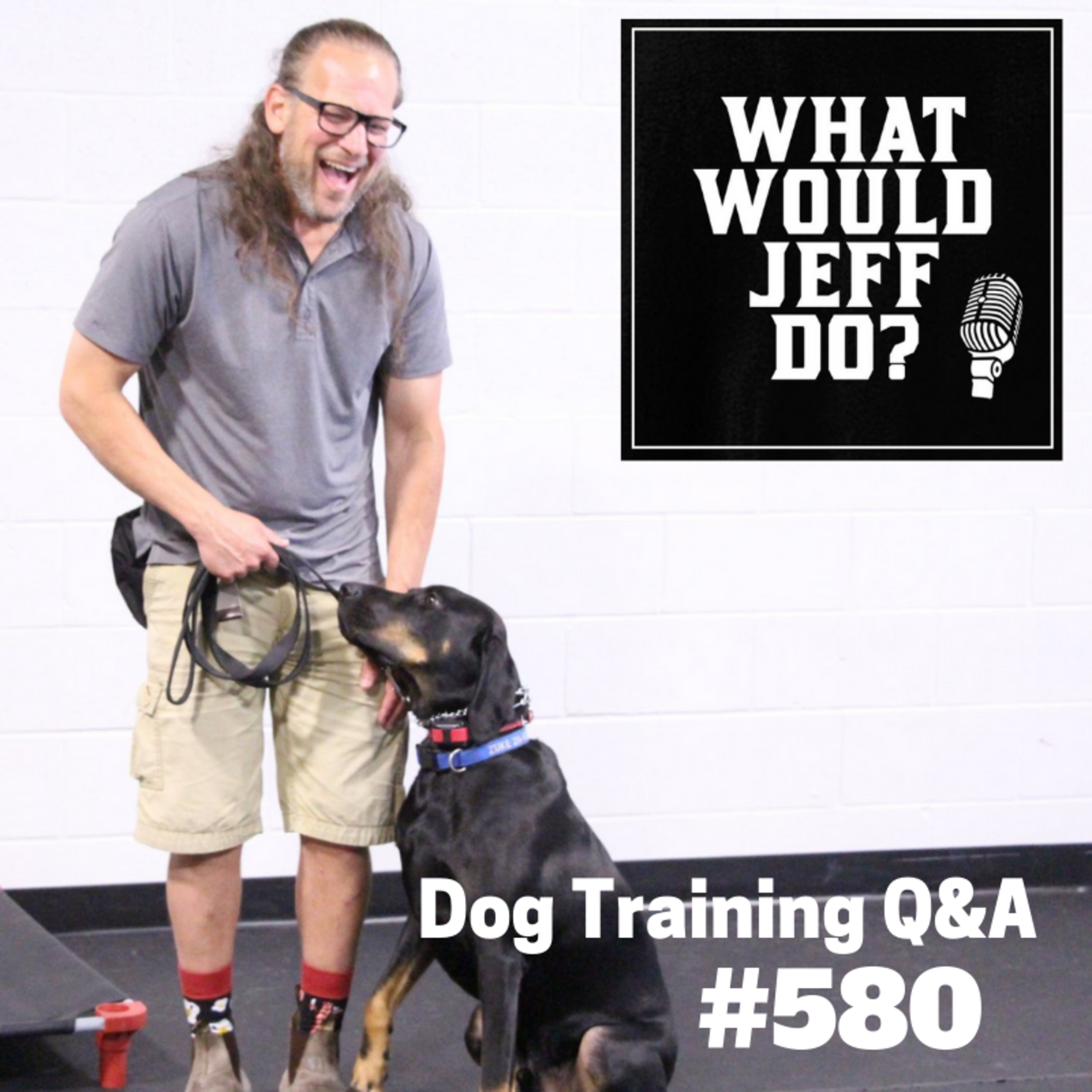 Dog Training - Shut Down Dog - Dog Pulling On a Leash - What Would Jeff Do? Q&A Ep.580 (2019) episode artwork