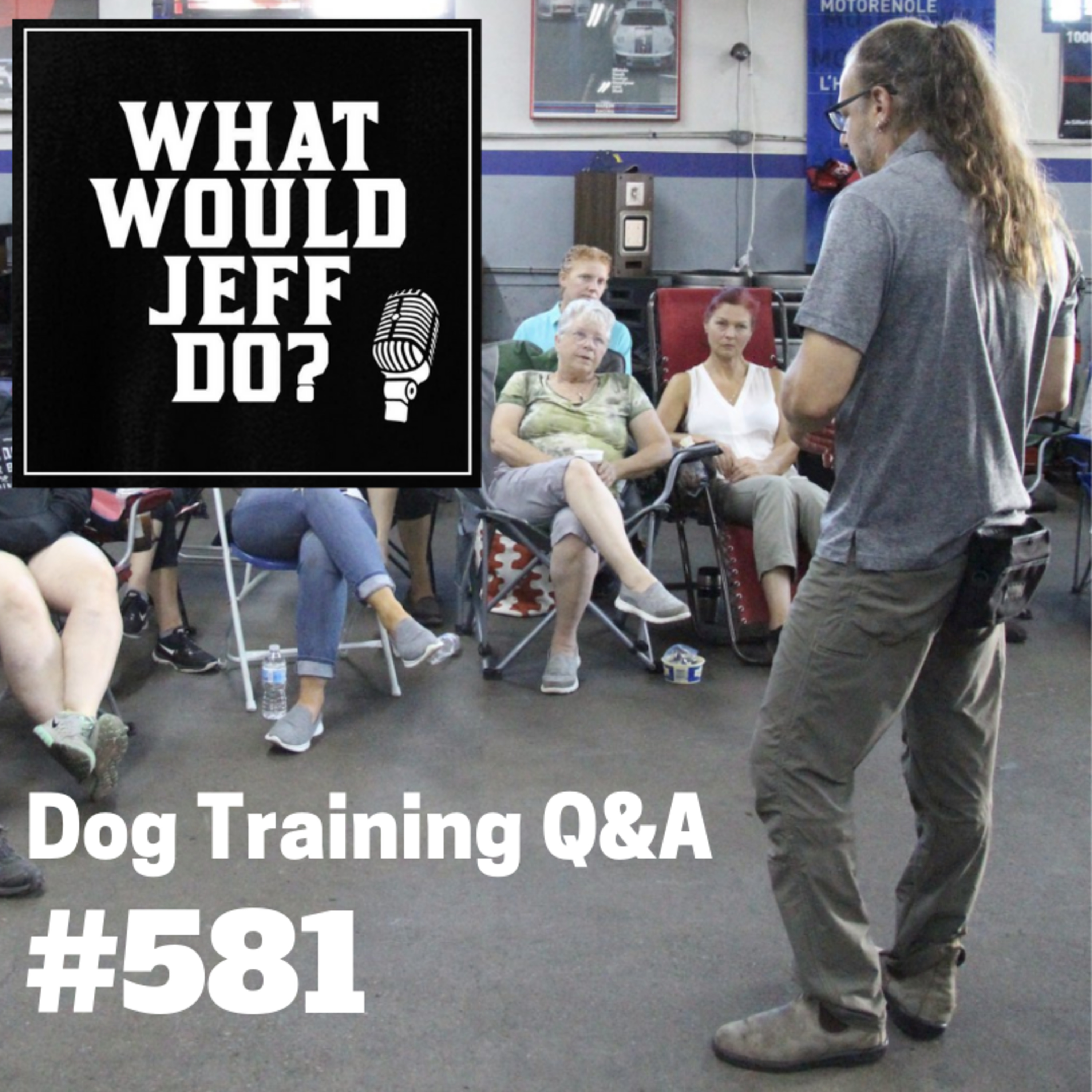 Dog Training - Bark Collars - Training Dogs Off Leash - What Would Jeff Do? Q&A Ep.581 (2019) episode artwork