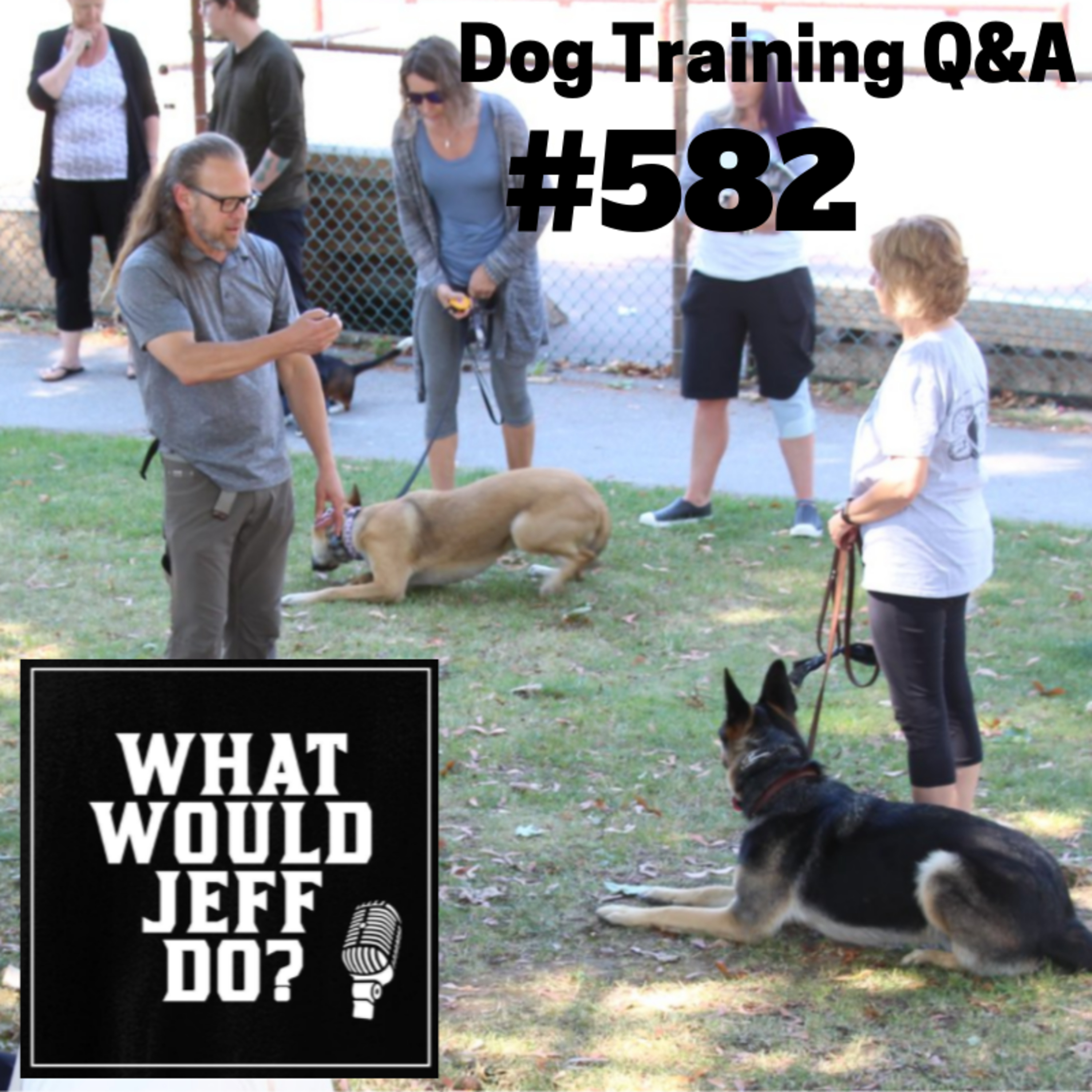 Dog Training - Socializing Dogs - Reactive Dog Training - What Would Jeff Do? Q&A Ep.582 (2019) episode artwork