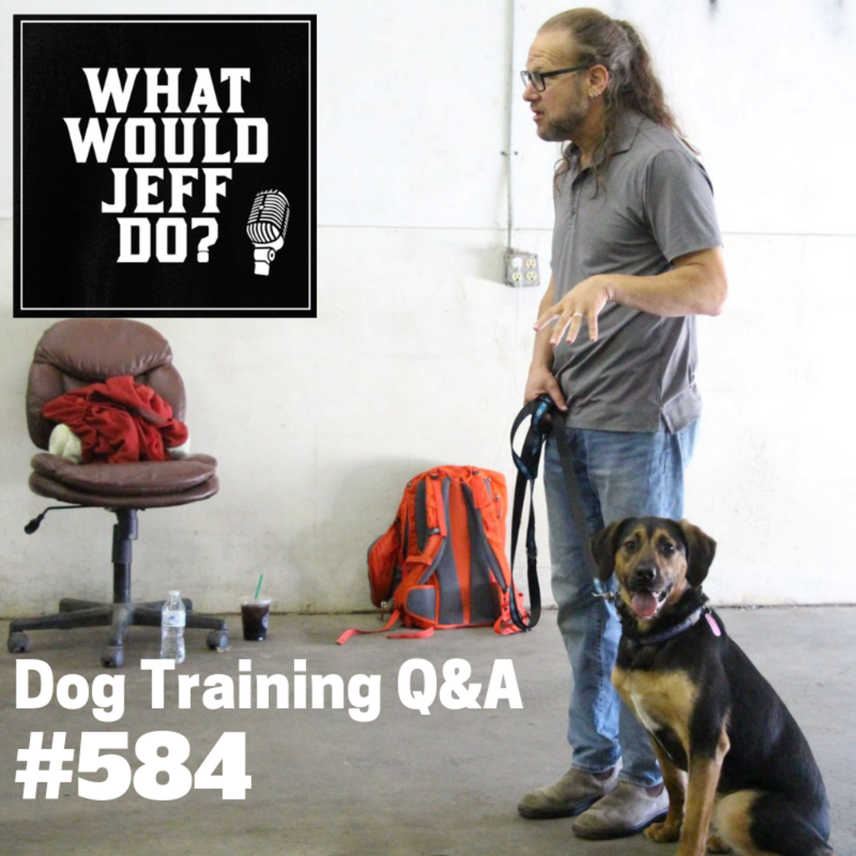 Dog Training - Anxious Dog Training - Stop Dog Chewing - What Would Jeff Do? Q&A Ep.584 (2019) episode artwork