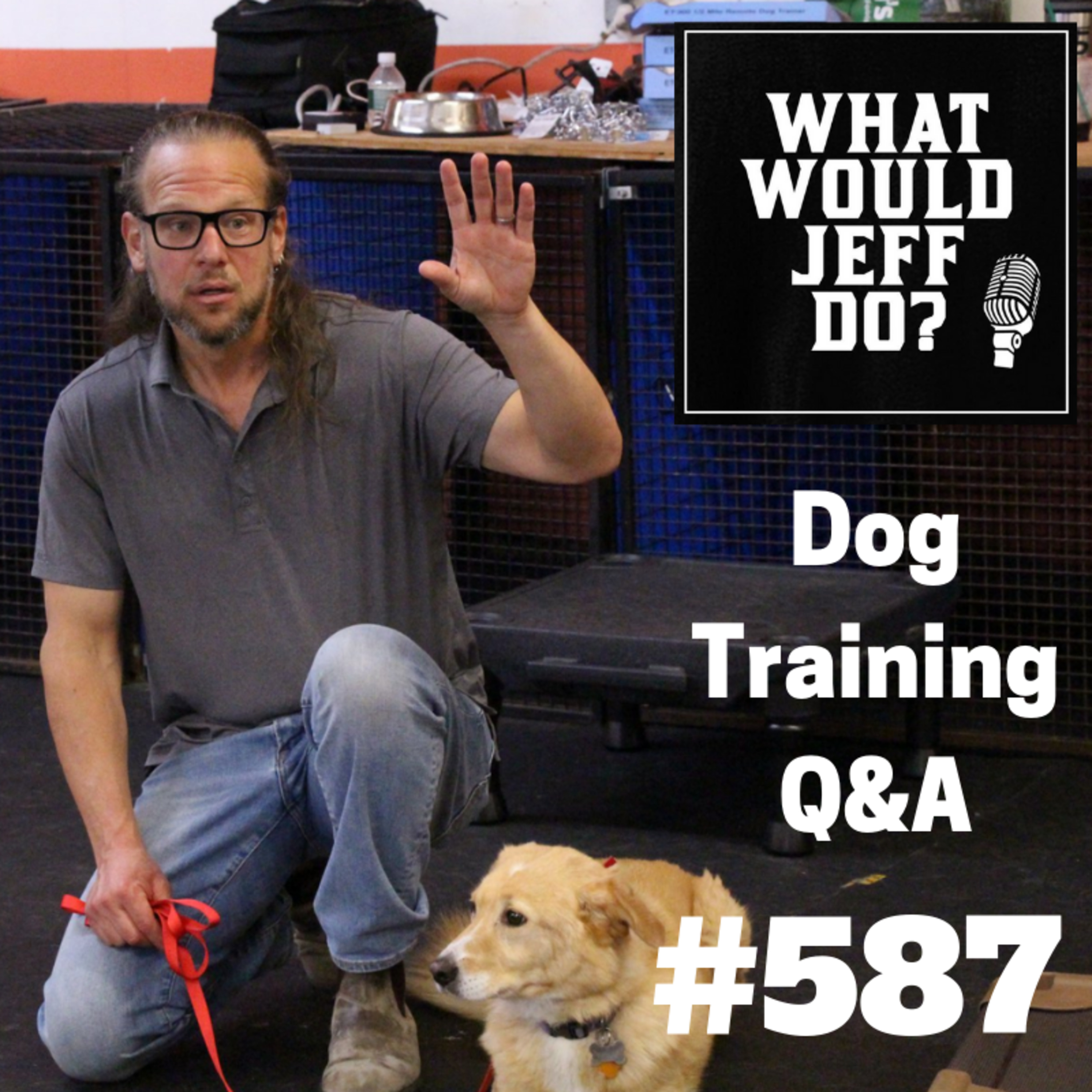 Dog Training - Dog Chases Cats - Dog Storm Anxiety - What Would Jeff Do? Q&A Ep.587 (2019) episode artwork