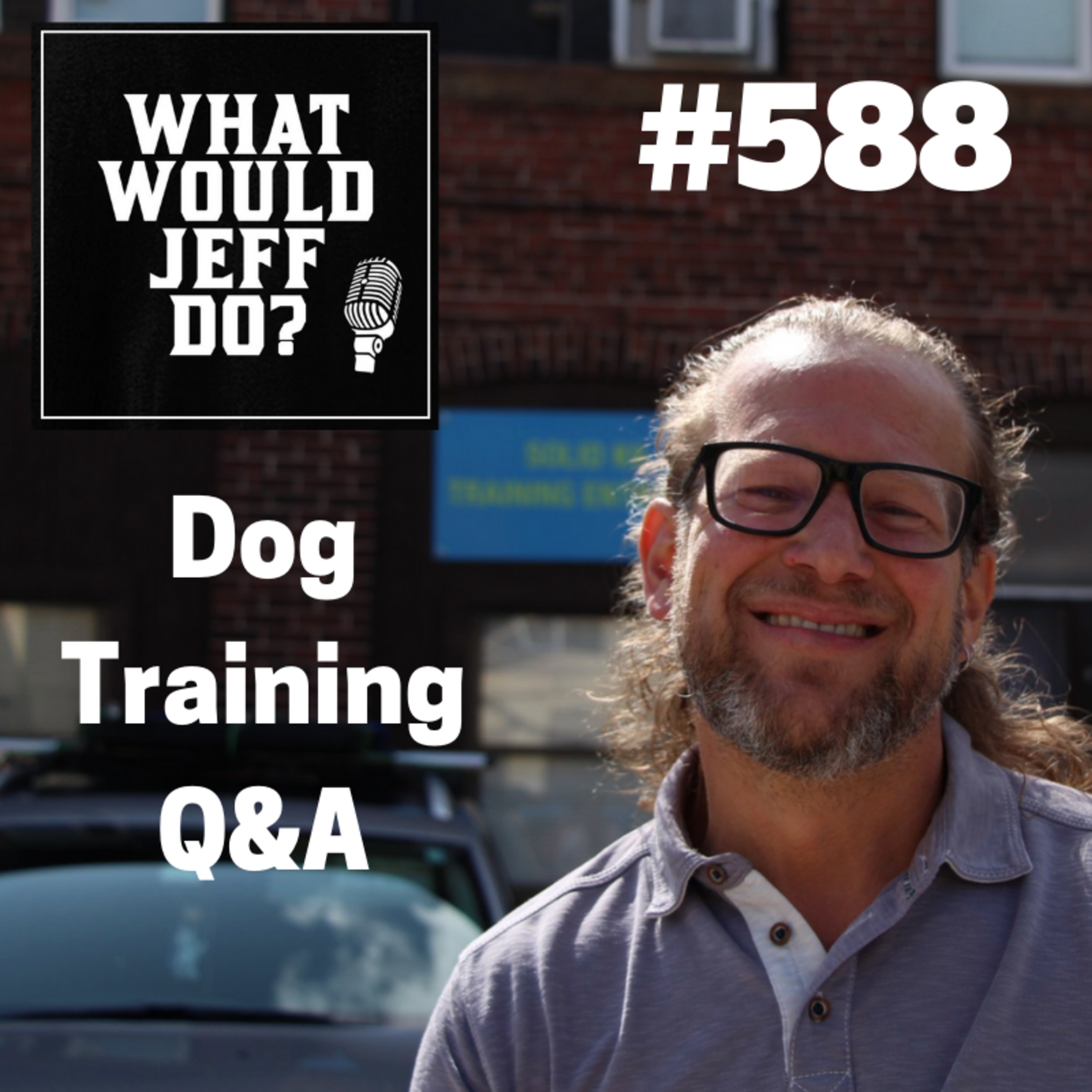 Dog Training - Stop Puppy Humping - Skittish Dogs - What Would Jeff Do? Q&A Ep.588 (2019) episode artwork