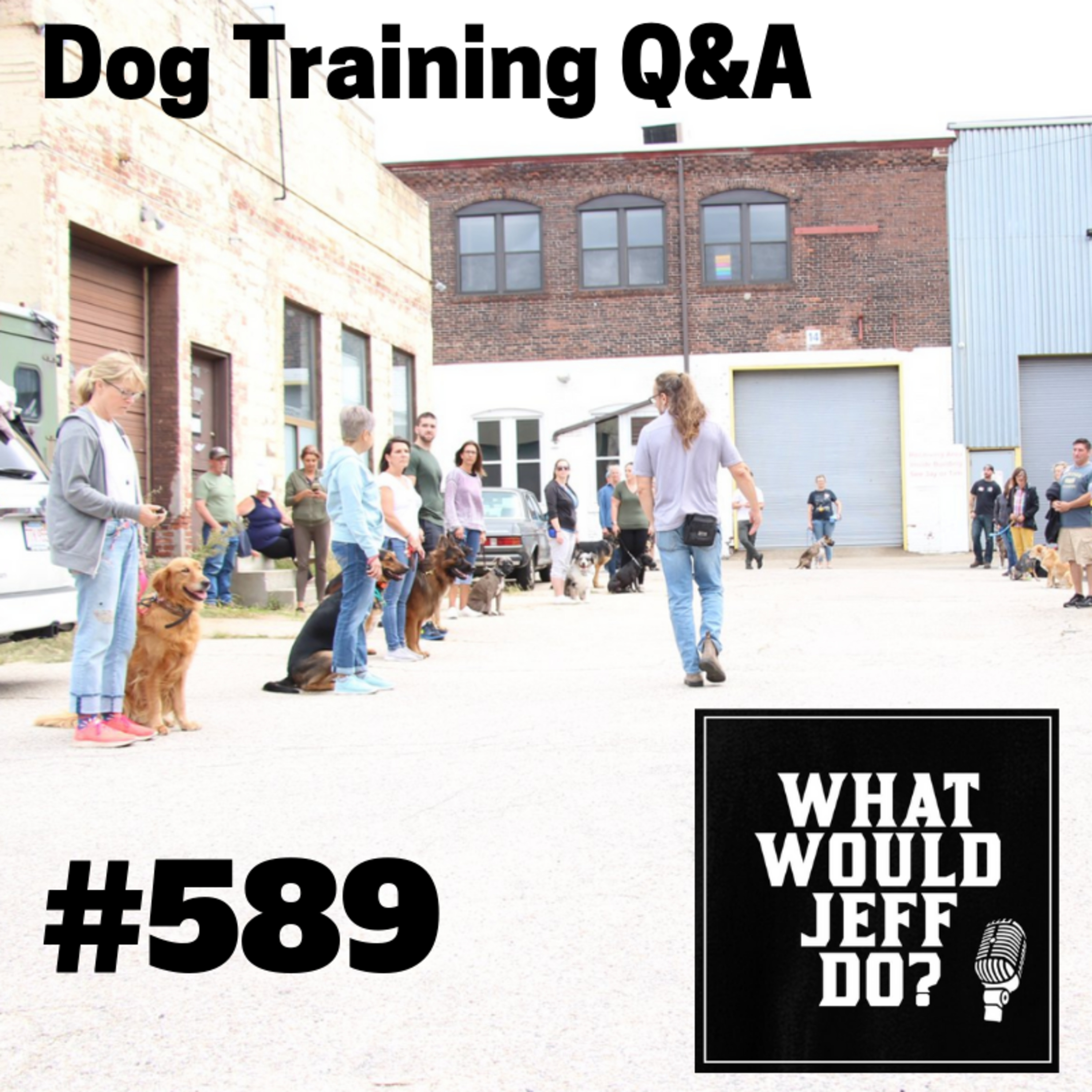 Dog Training - Ecollar Dog Training - Stop Dog Barking - What Would Jeff Do? Q&A Ep.589 (2019) episode artwork