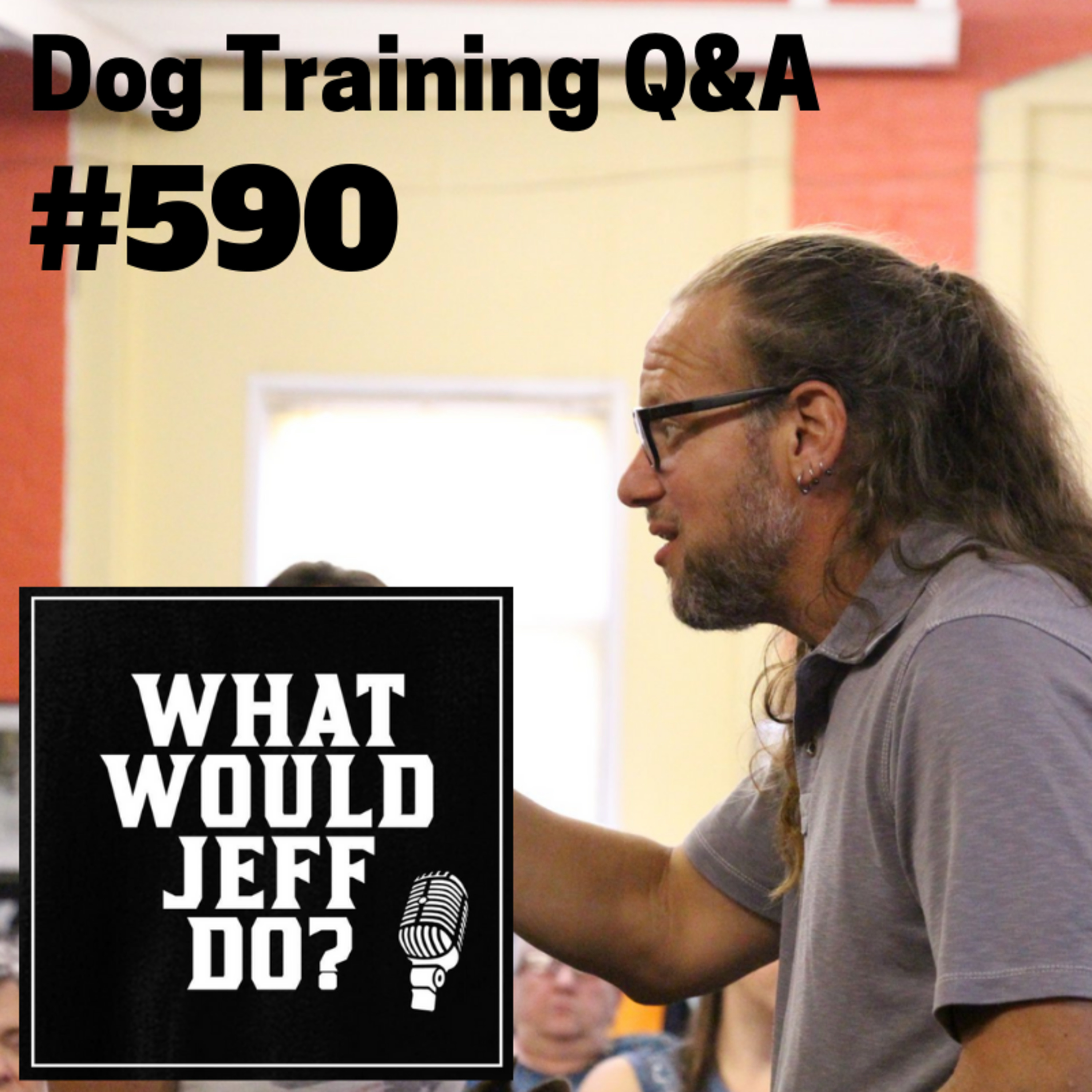 Dog Training - Dog Reactive Dog - Fearful Dogs - What Would Jeff Do? Q&A Ep.590 (2019) episode artwork