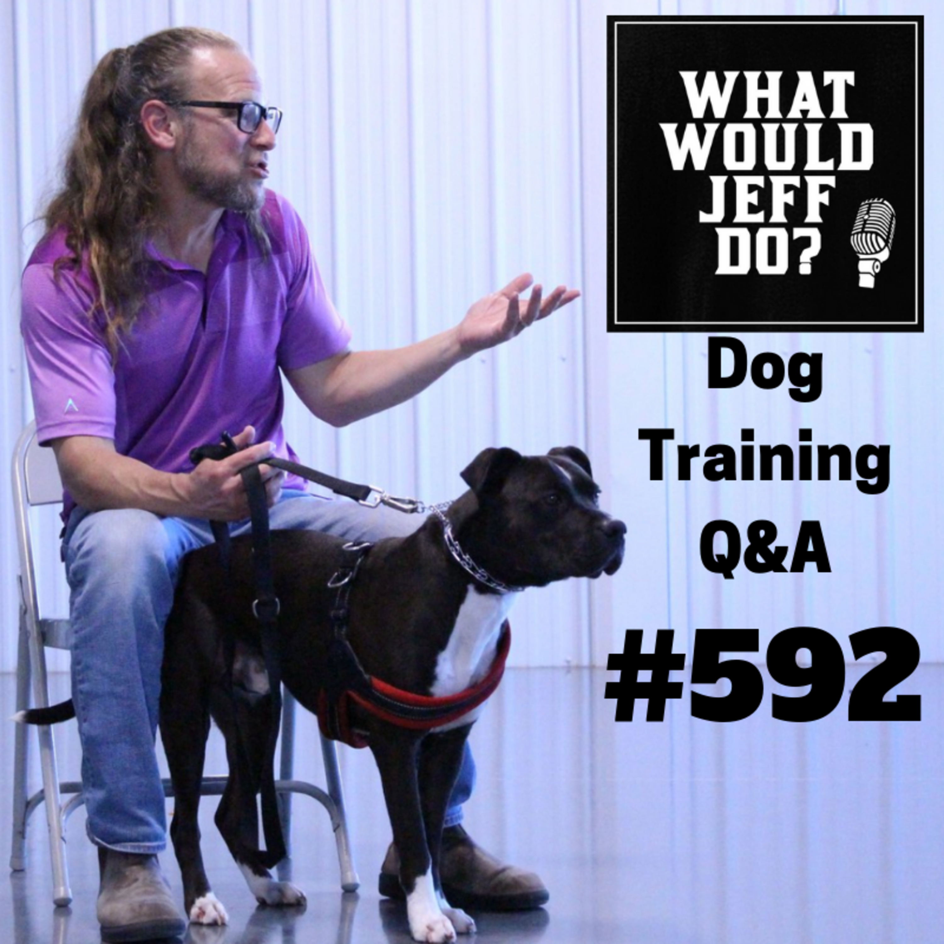 Dog Training - Dog Separation Anxiety - Training a puppy - What Would Jeff Do? Q&A Ep.592 (2019) episode artwork