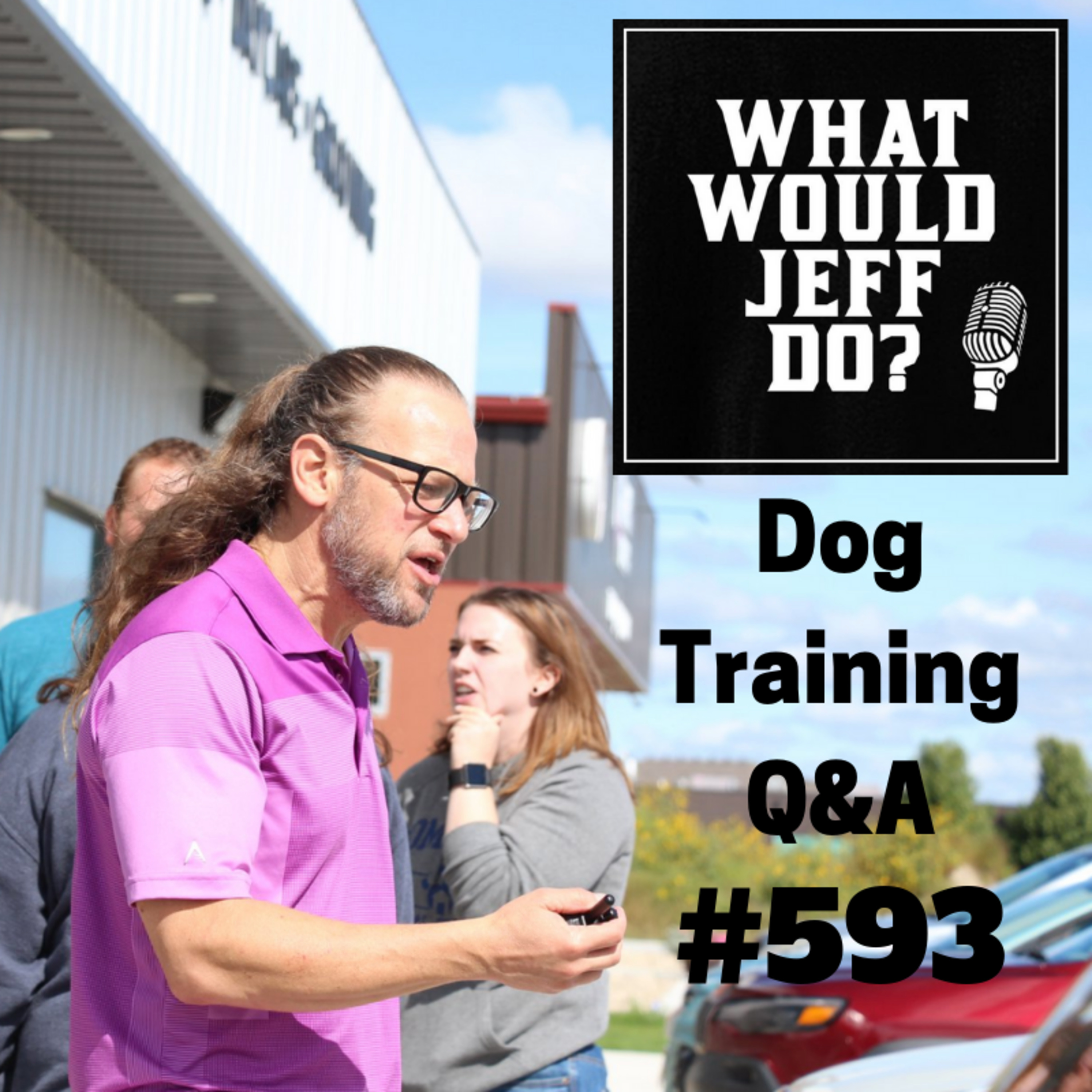 Dog Training - Dog Aggression - Training with E Collars - What Would Jeff Do? Q&A Ep.593 (2019) episode artwork