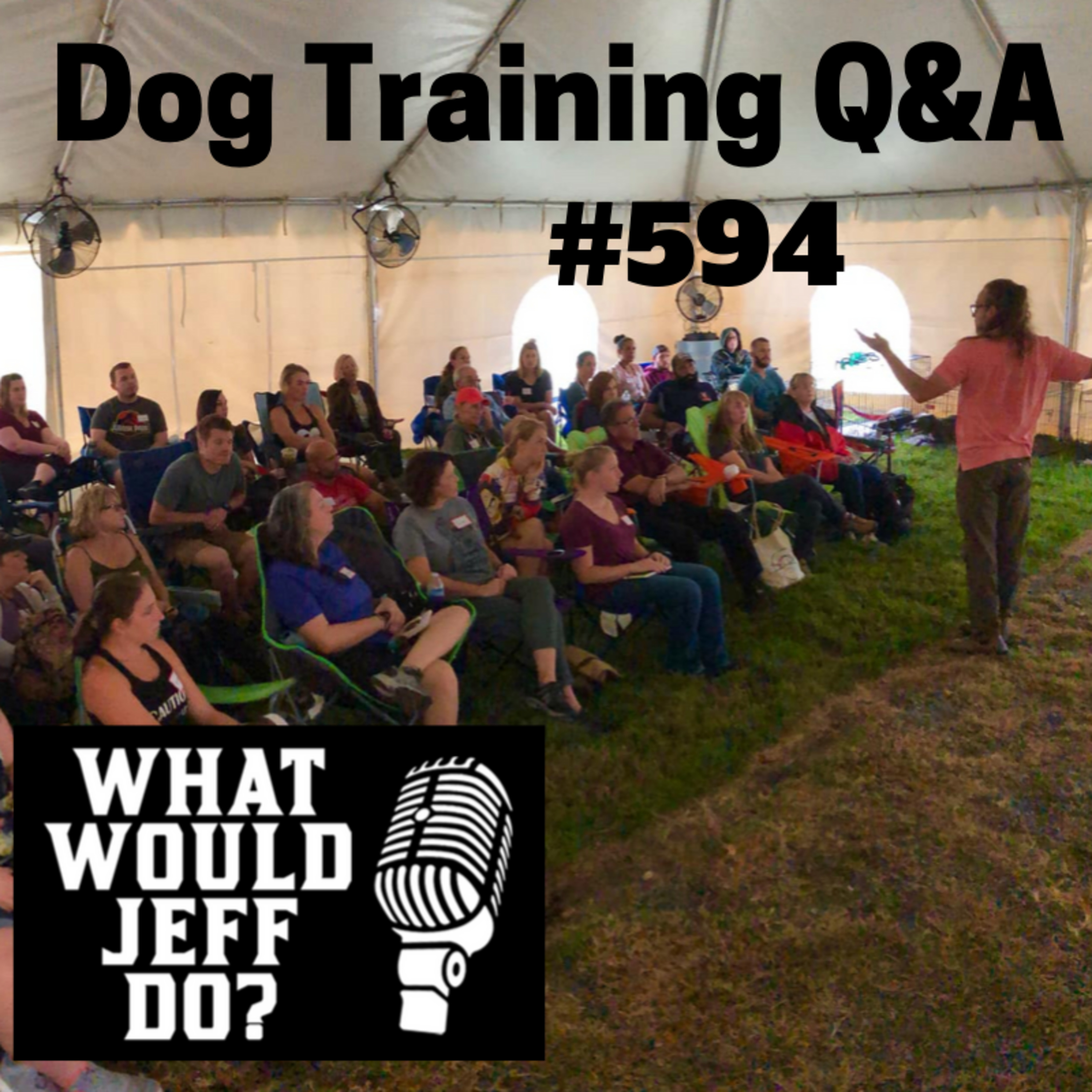 Dog Training - Dog Barking - Dog Reactivity - What Would Jeff Do? Q&A Ep.594 (2019) episode artwork