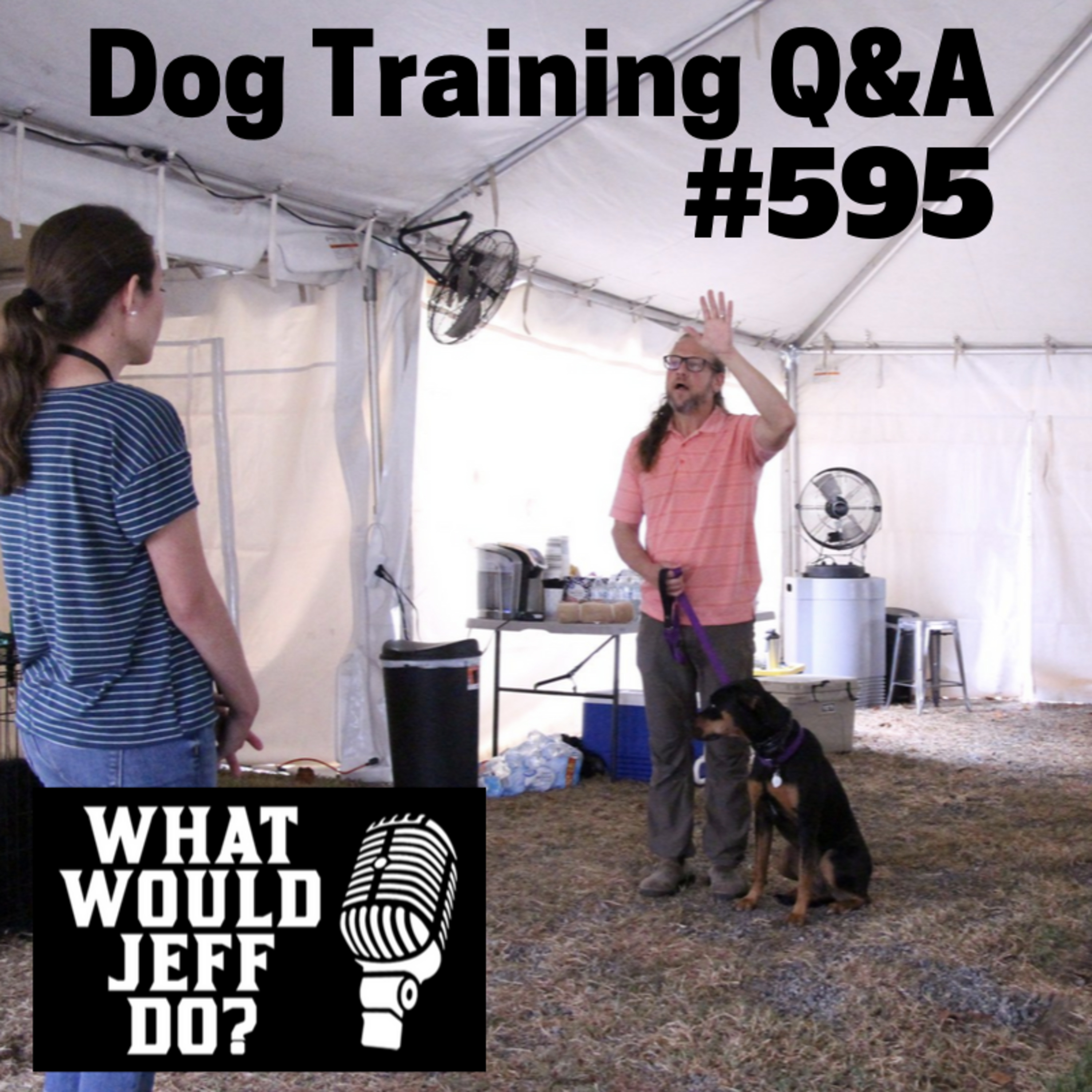 Dog Training - Stop Dog Growling - Dog Separation Anxiety - What Would Jeff Do? Q&A Ep.595 (2019) episode artwork