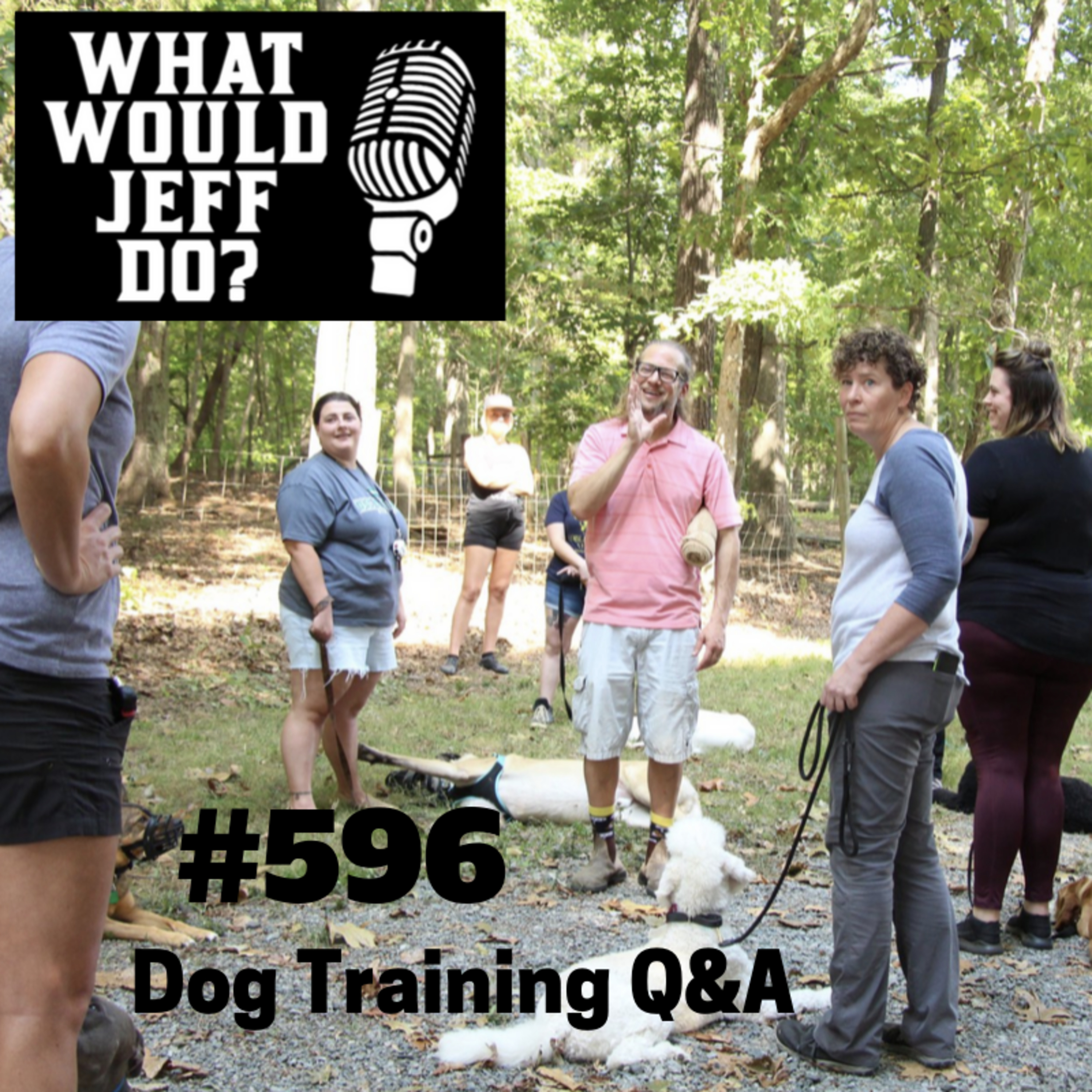 Dog Training - Crate Training Dogs - Training Dogs Down - What Would Jeff Do? Q&A Ep.596 (2019) episode artwork
