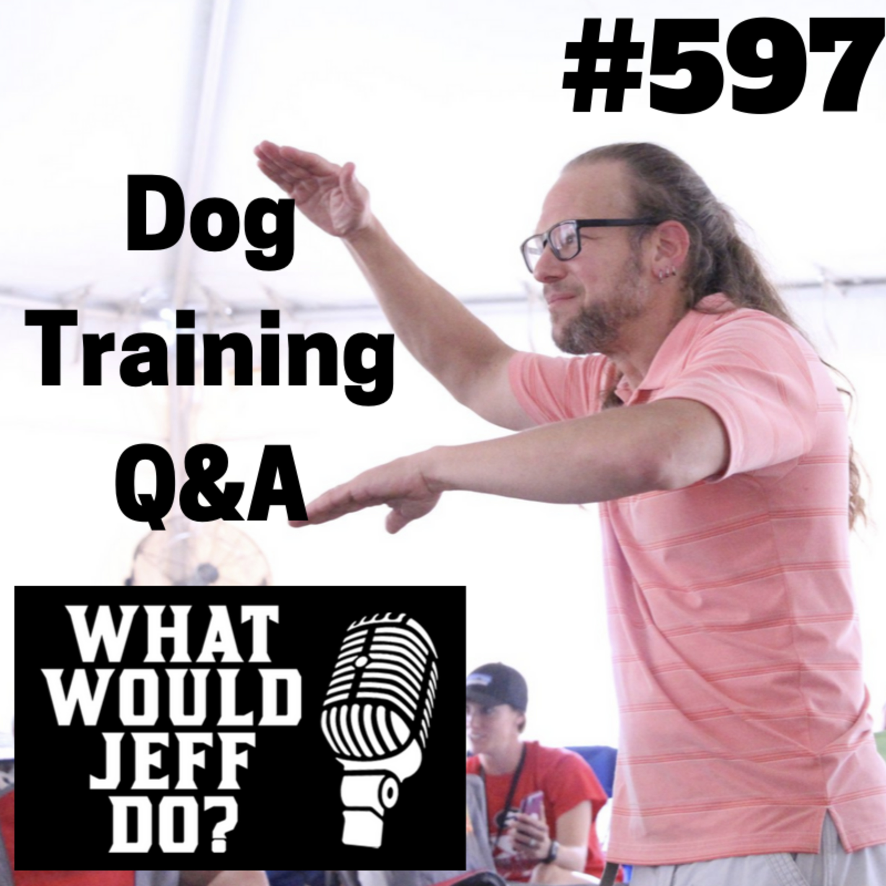 Dog Training - Fence Fighting Dogs - Keeping Dogs Calm - What Would Jeff Do? Q&A Ep.597 (2019) episode artwork