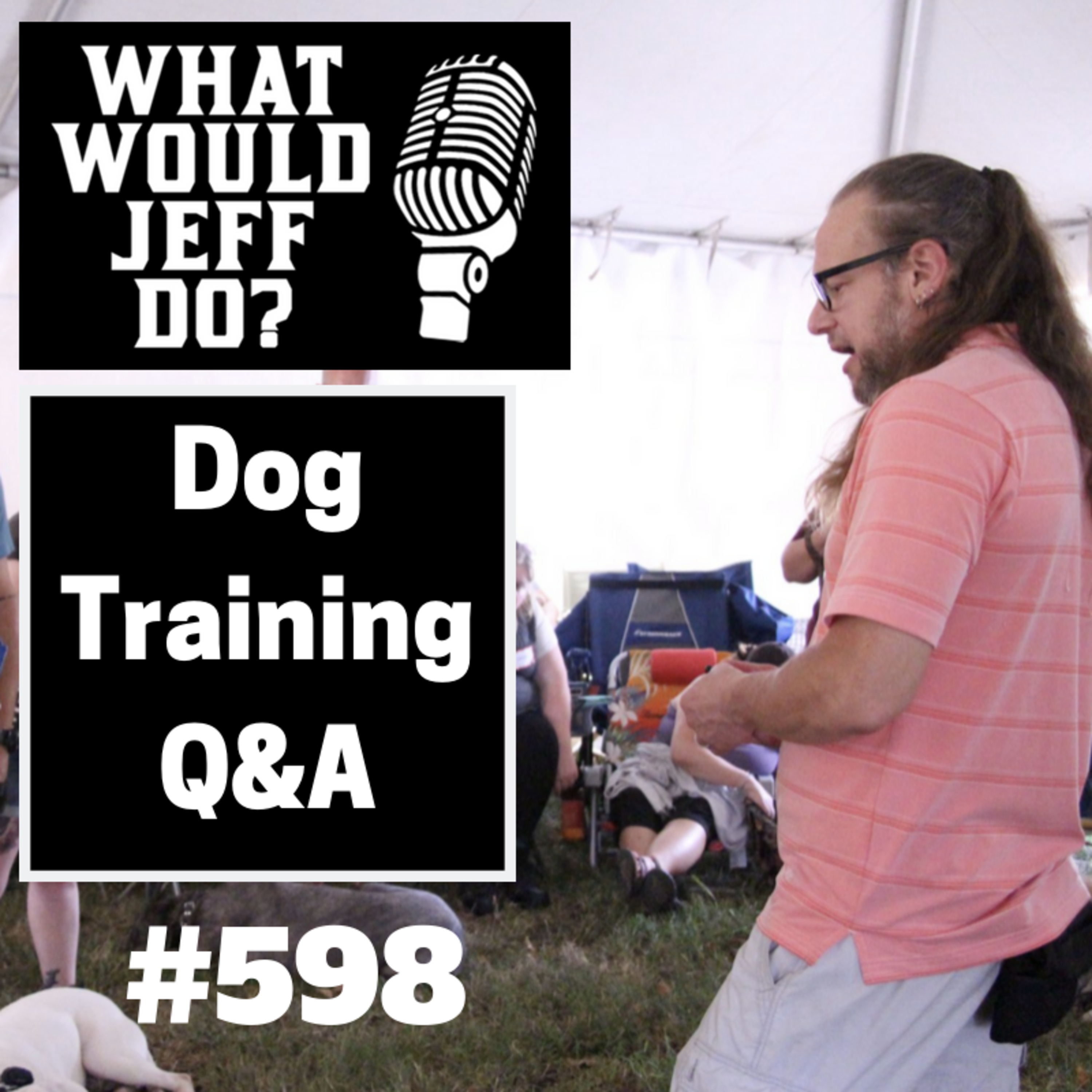 Dog Training - E Collar Dog Training - Leash Reactive Dog - What Would Jeff Do? Q&A Ep.598 (2019) episode artwork