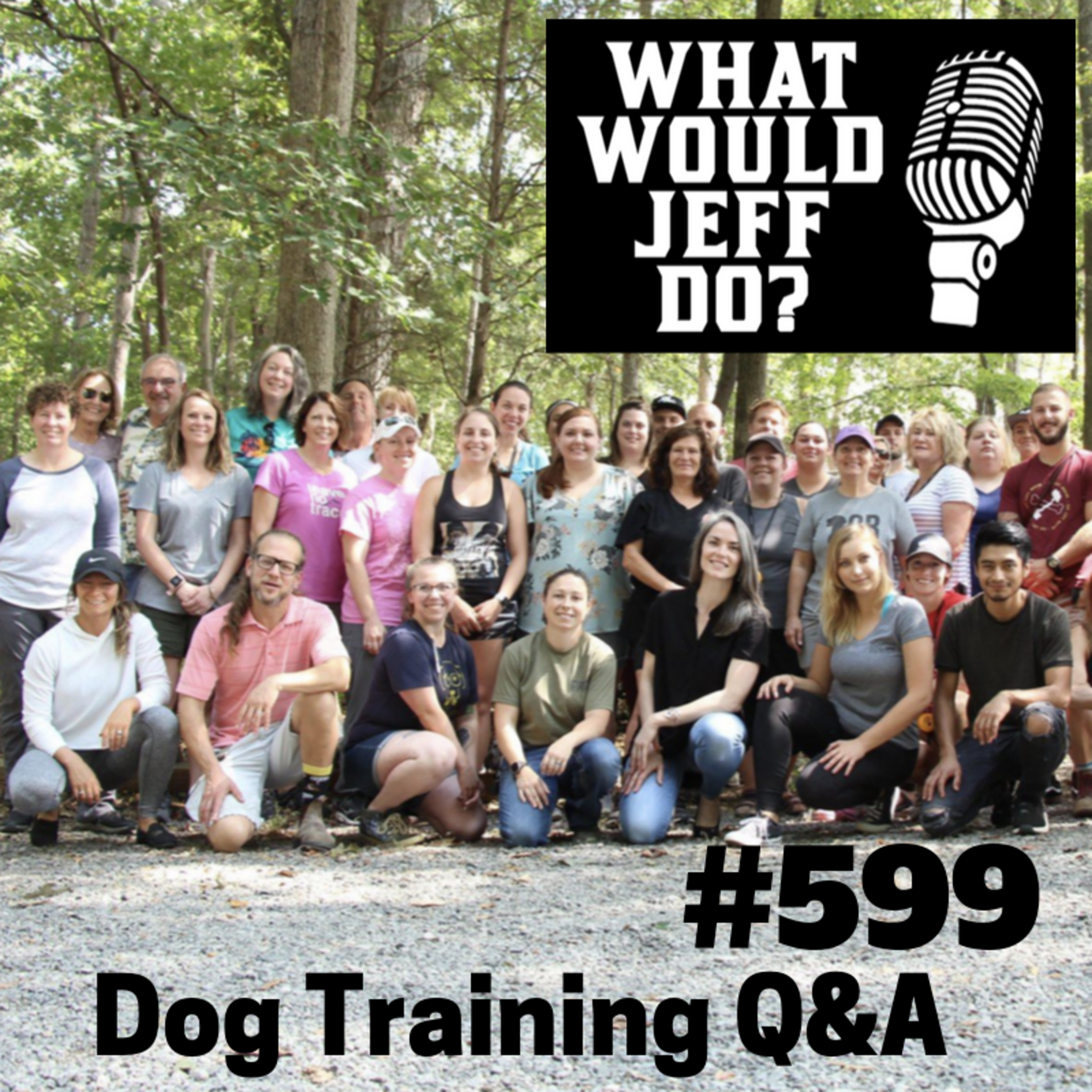 Dog Training - Stop Dog Jumping - Fearful Reactive Dog - What Would Jeff Do? Q&A Ep.599 (2019) episode artwork
