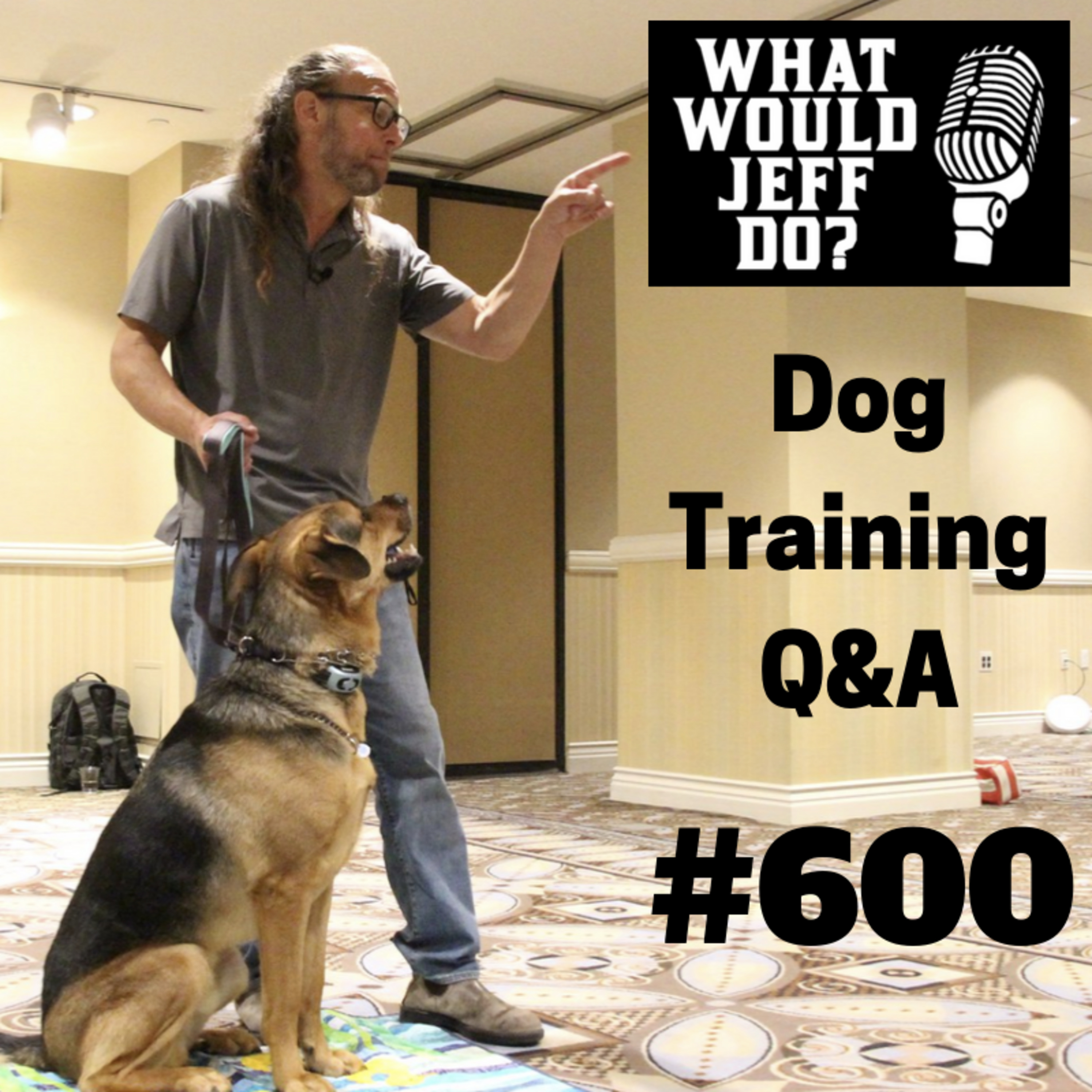 Dog Training - Teaching Place - Prong collar training - What Would Jeff Do? Q&A Ep.600 (2019) episode artwork