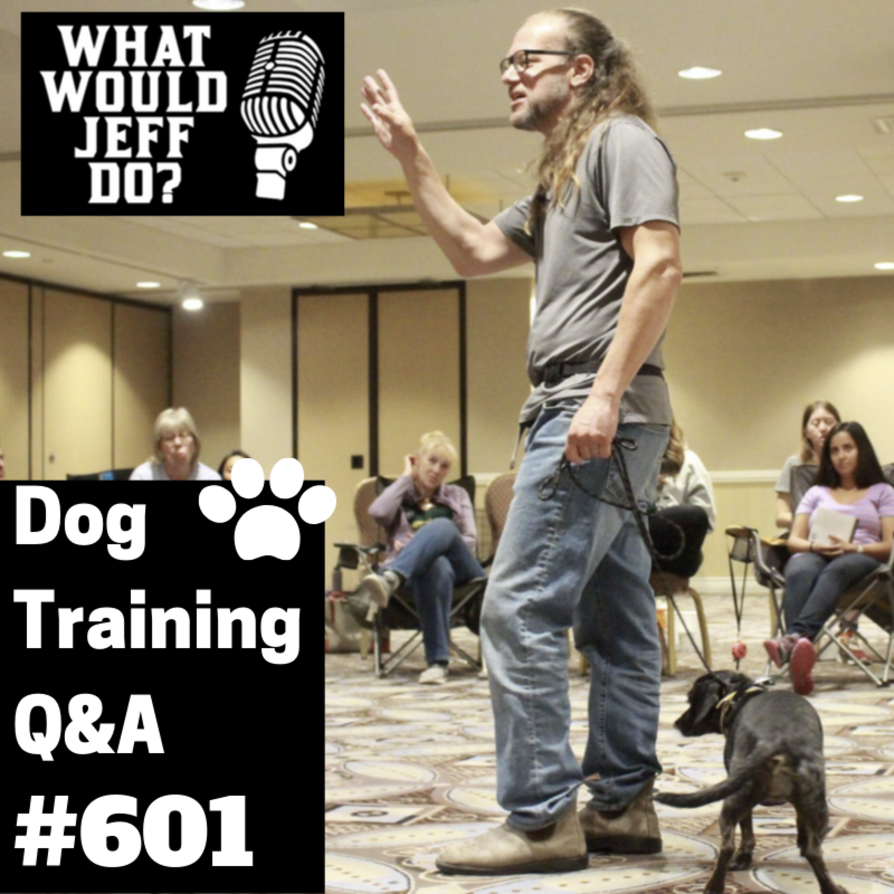 Dog Training - Stop Dog Pulling - Dog Growling - What Would Jeff Do? Q&A Ep.601 (2019) episode artwork