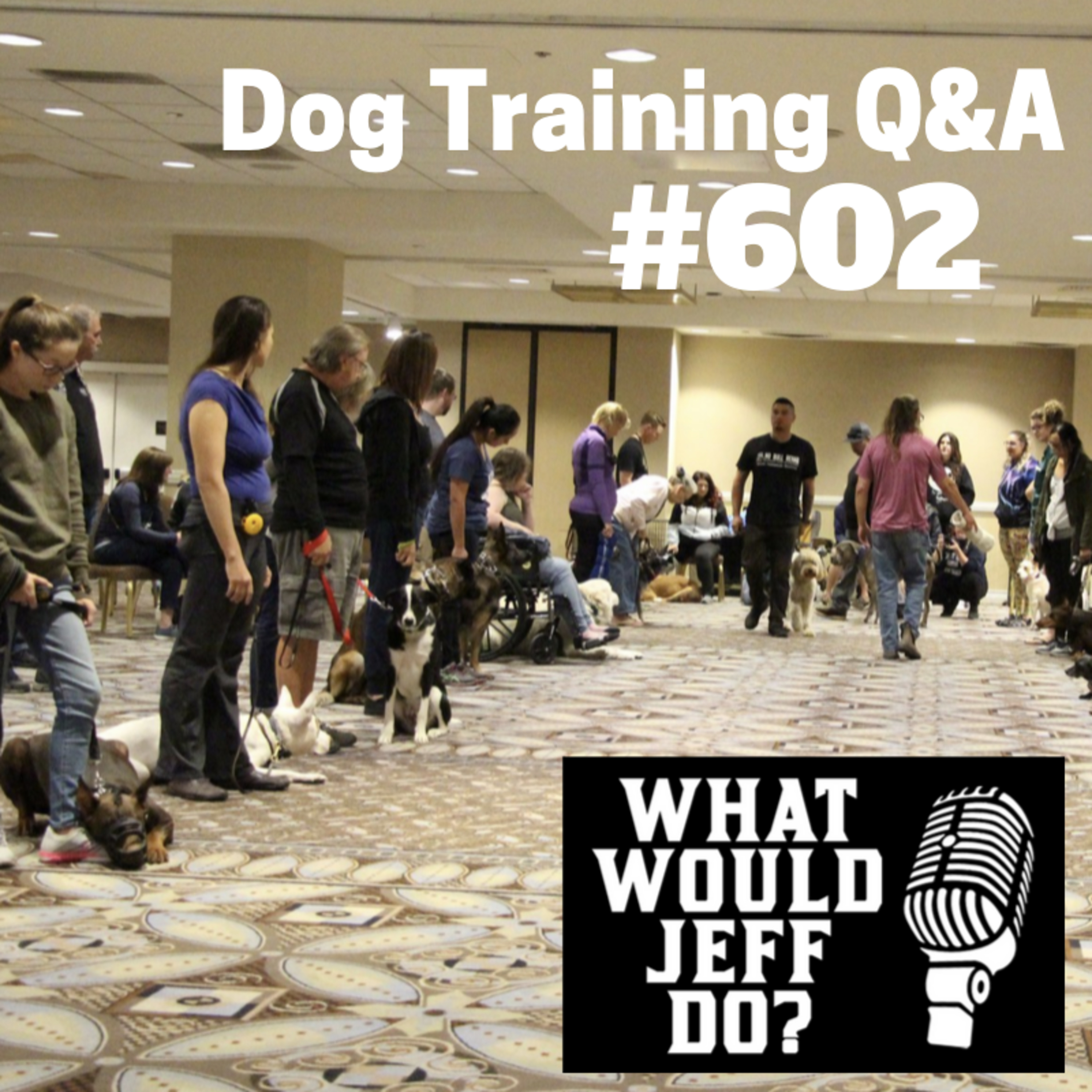 Dog Training - Nervous Dog - Stop dog barking - What Would Jeff Do? Q&A Ep.602 (2019) episode artwork