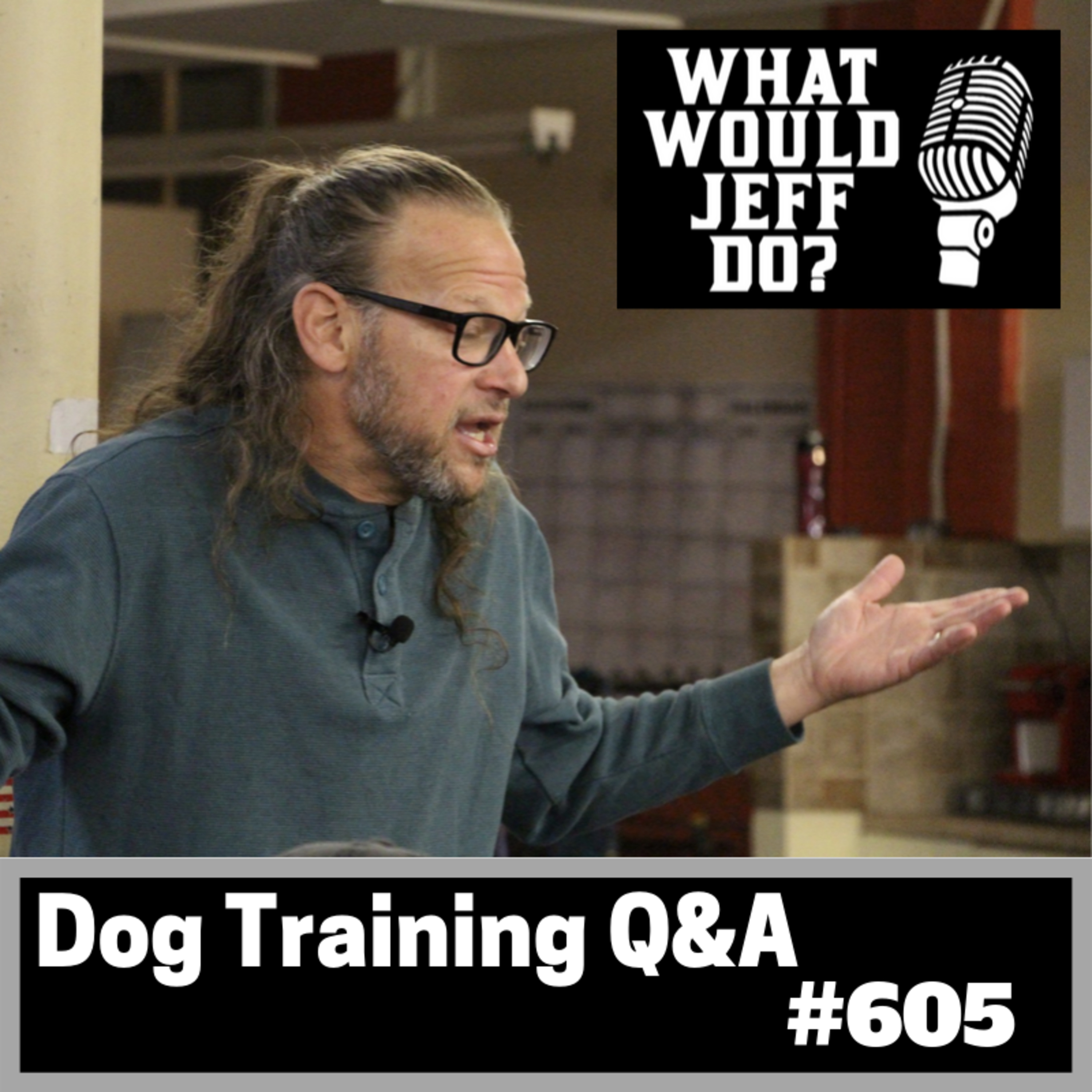 Dog Training Q & A What Would Jeff Do? With Jeff Gellman of Solid K9 Training