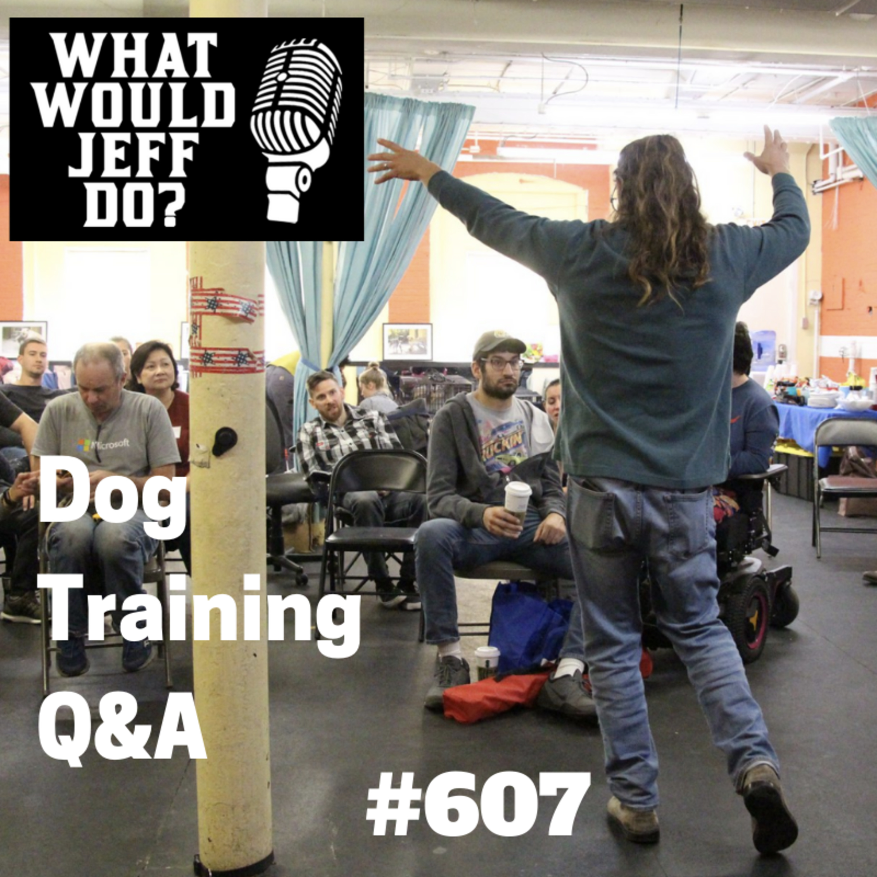 Dog Training Q & A What Would Jeff Do? With Jeff Gellman of Solid K9 Training