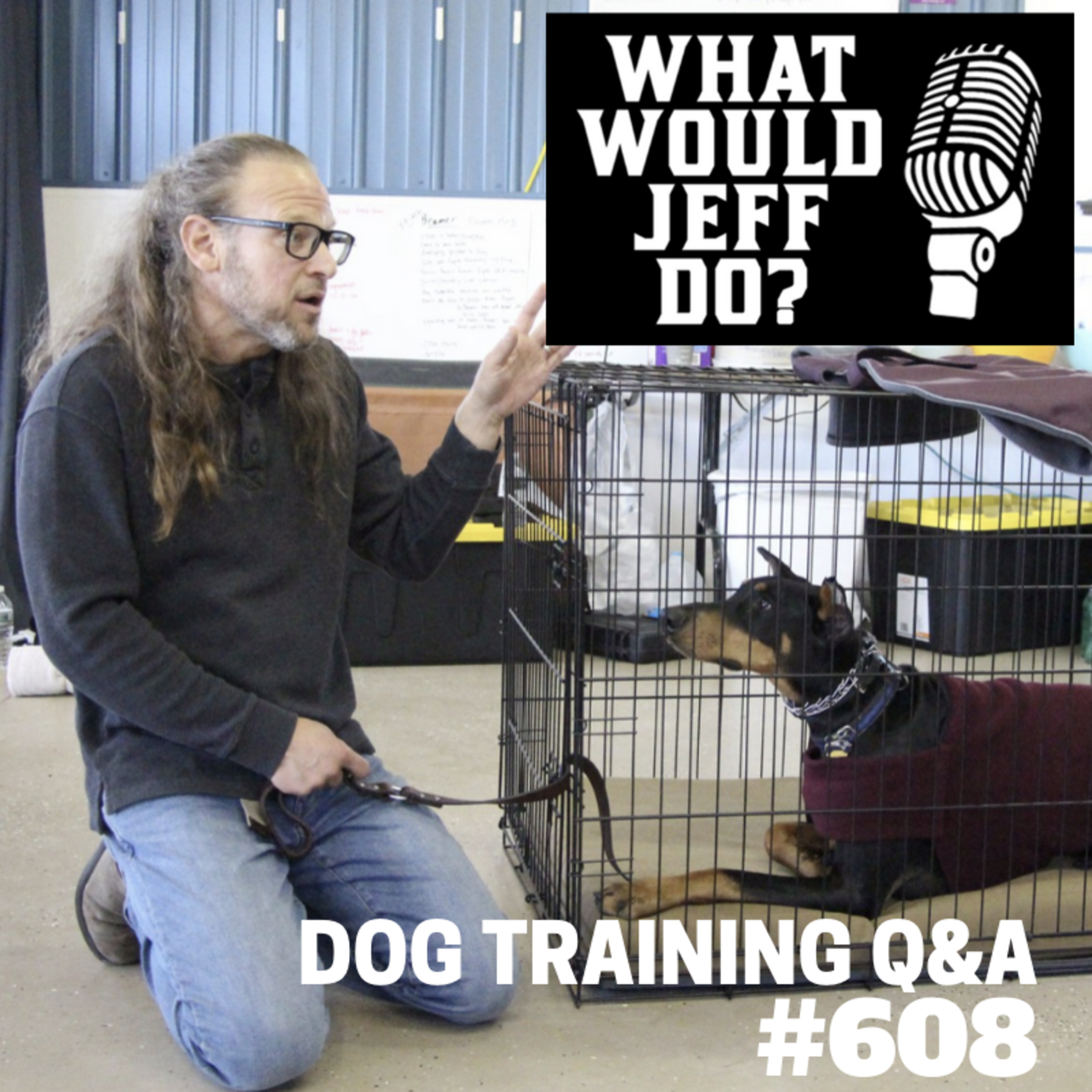 Dog Training Q & A What Would Jeff Do? With Jeff Gellman of Solid K9 Training