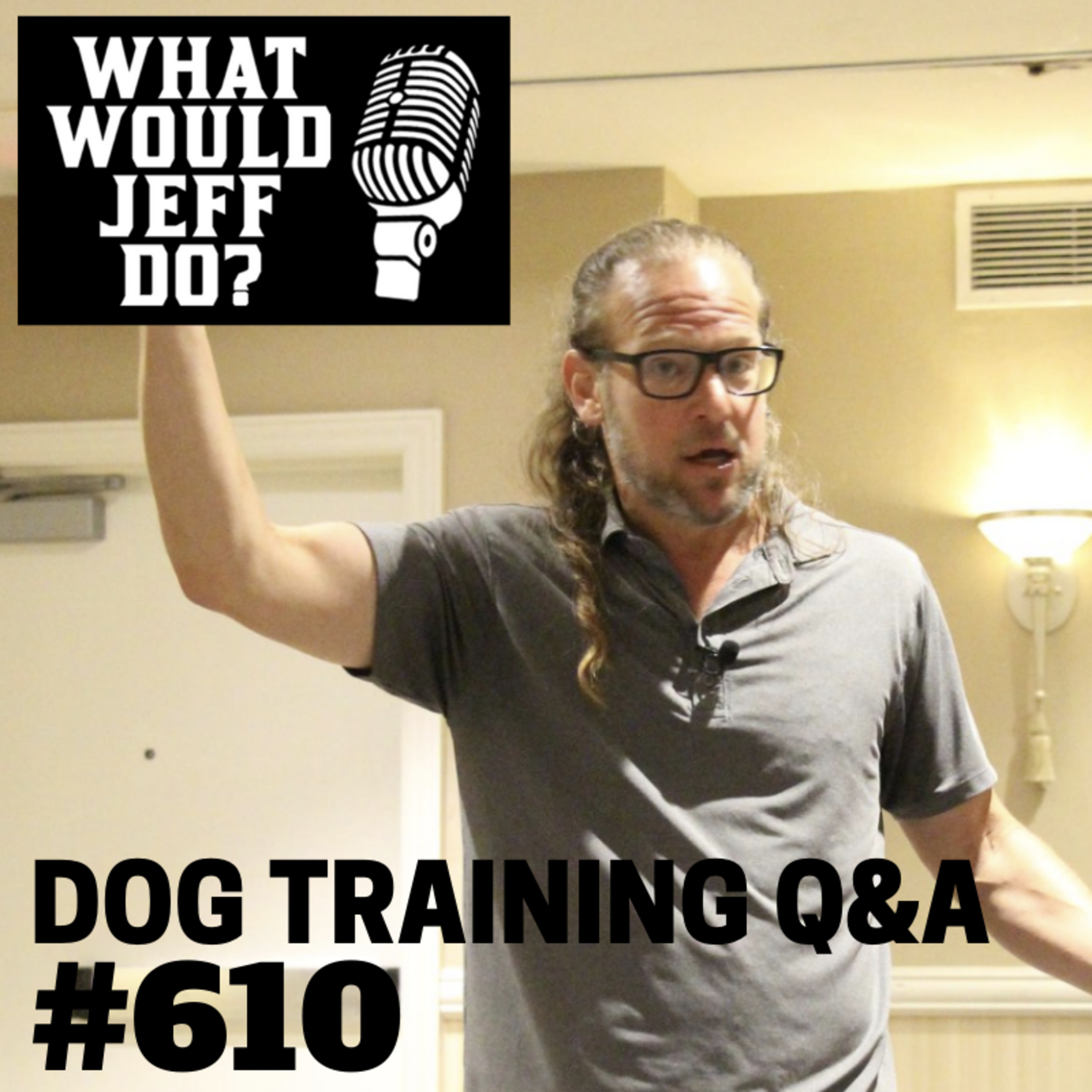 Dog Training Q & A What Would Jeff Do? With Jeff Gellman of Solid K9 Training
