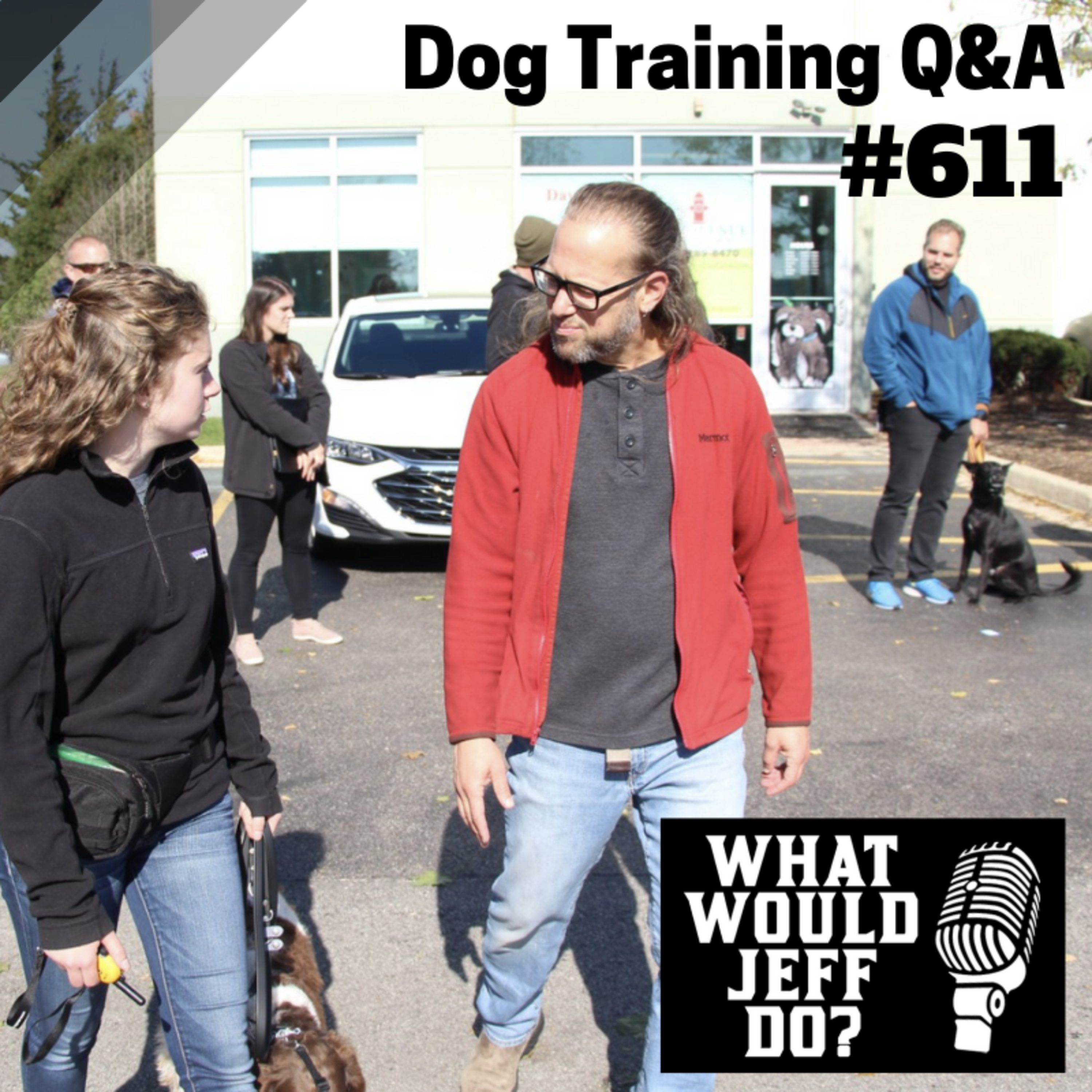 Dog Training Q & A What Would Jeff Do? With Jeff Gellman of Solid K9 Training