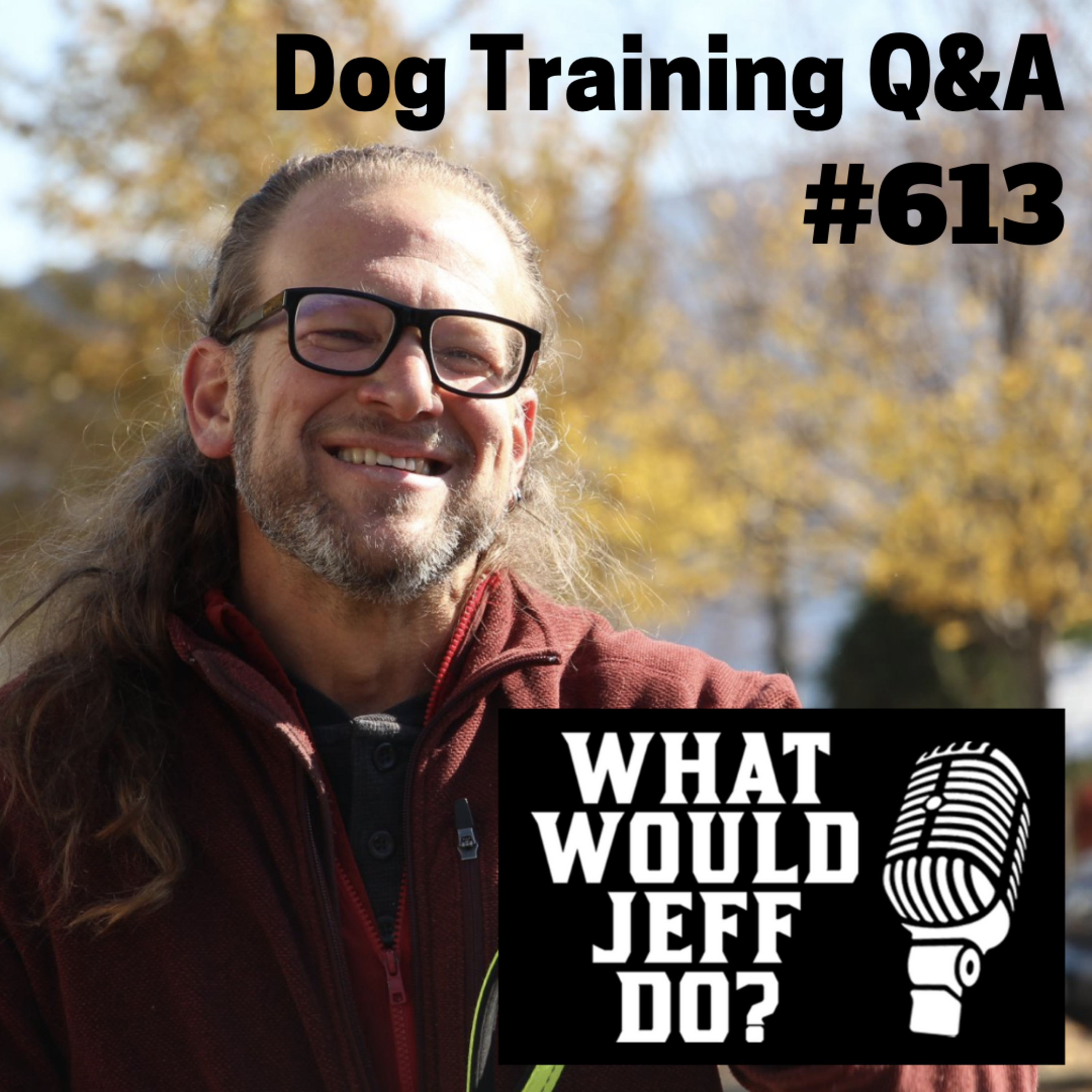 Dog Training Q & A What Would Jeff Do? With Jeff Gellman of Solid K9 Training