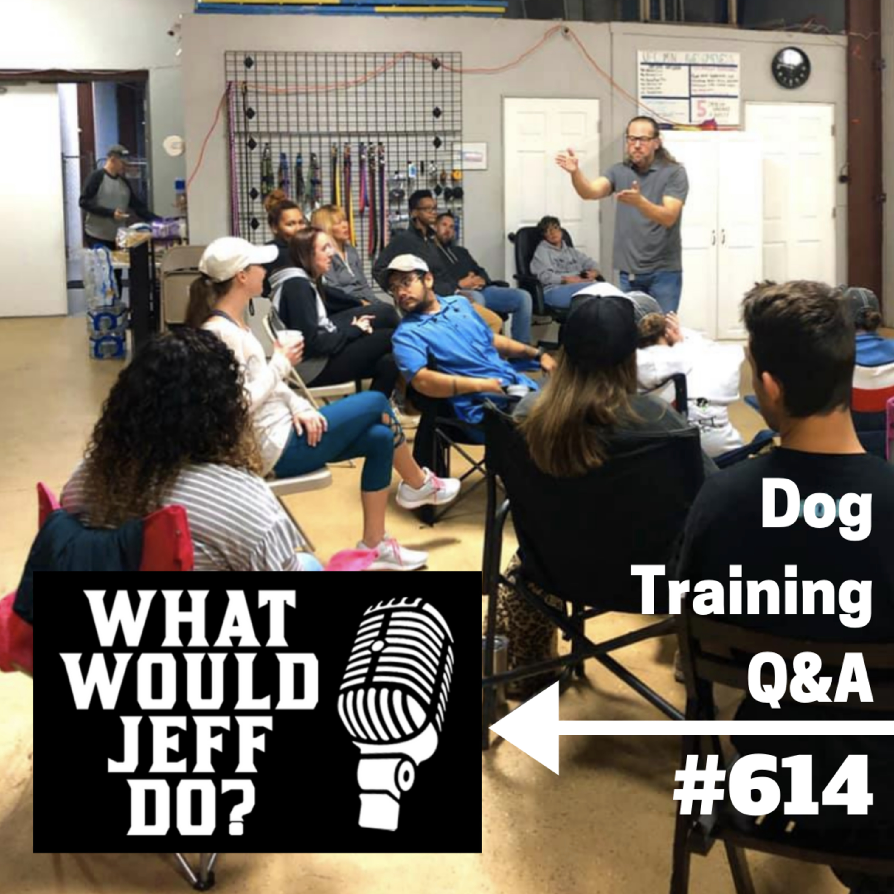Dog Training Q & A What Would Jeff Do? With Jeff Gellman of Solid K9 Training
