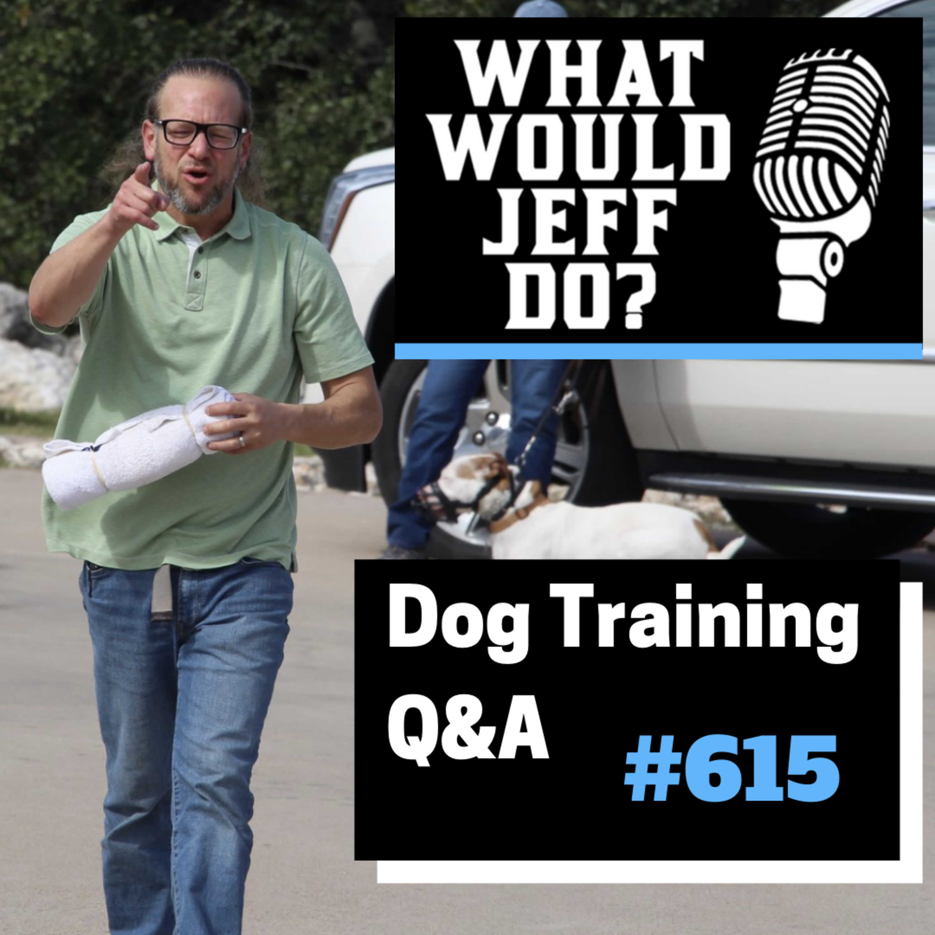 Dog Training Q & A What Would Jeff Do? With Jeff Gellman of Solid K9 Training