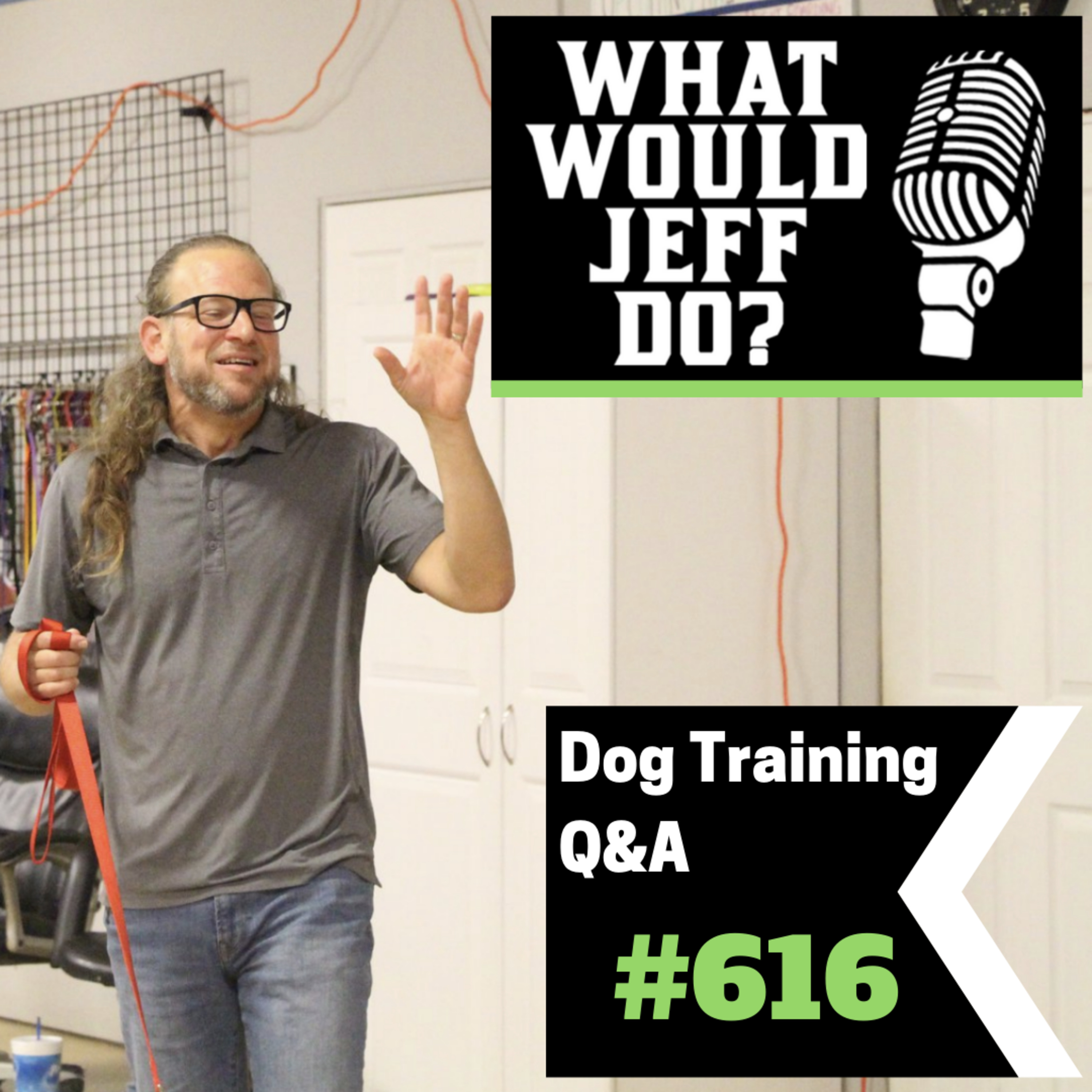 Dog Training Q & A What Would Jeff Do? With Jeff Gellman of Solid K9 Training