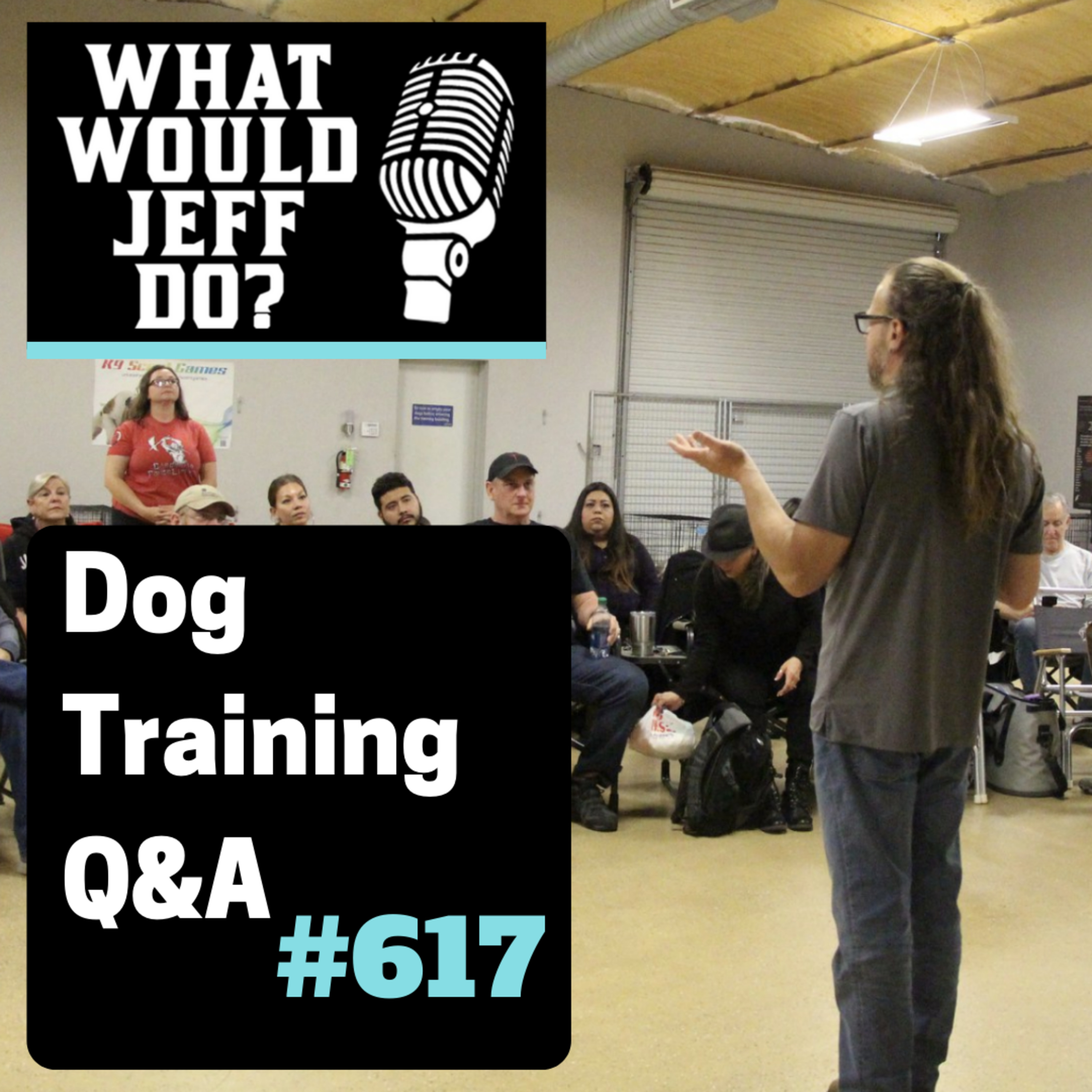 Dog Training Q & A What Would Jeff Do? With Jeff Gellman of Solid K9 Training