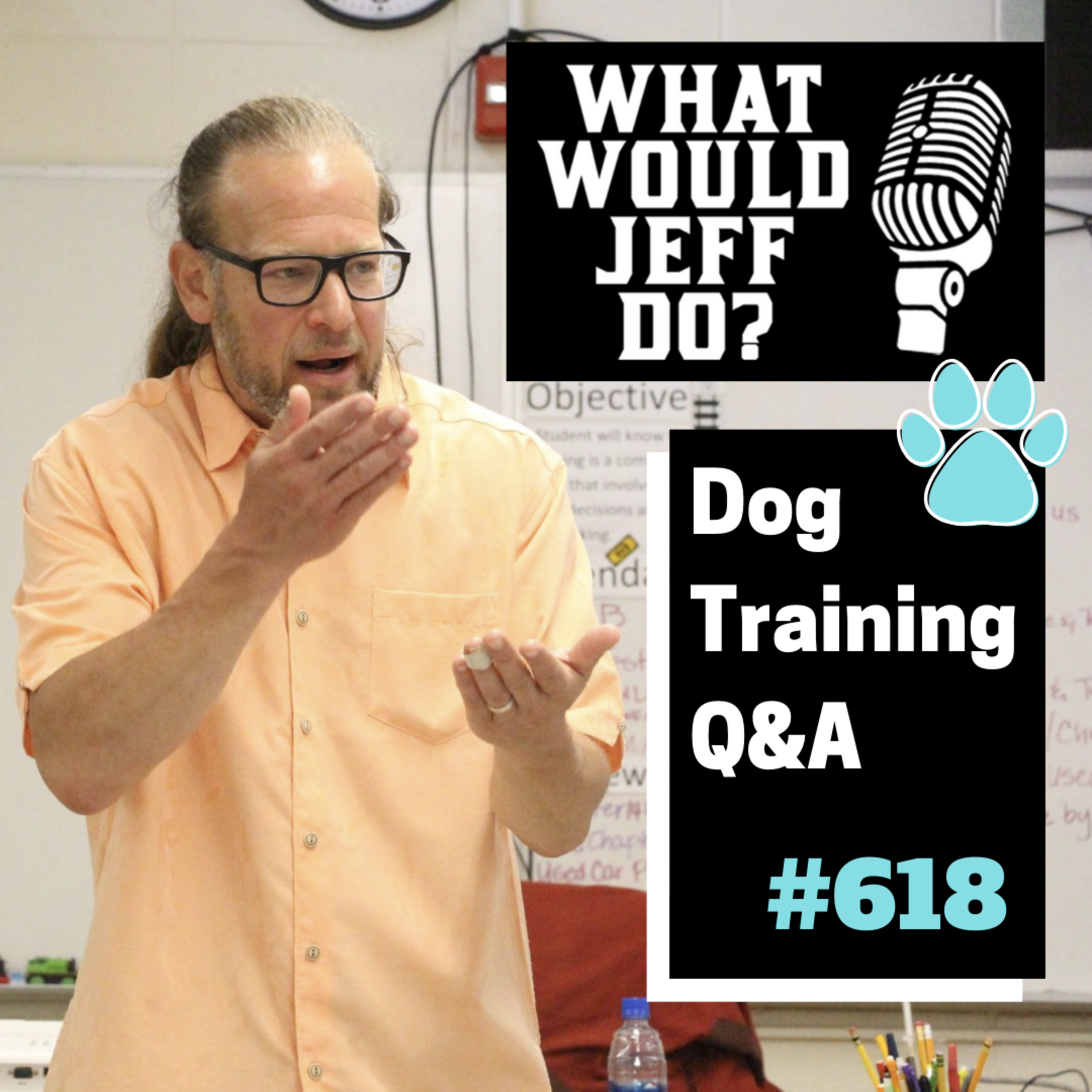 Dog Training Q & A What Would Jeff Do? With Jeff Gellman of Solid K9 Training