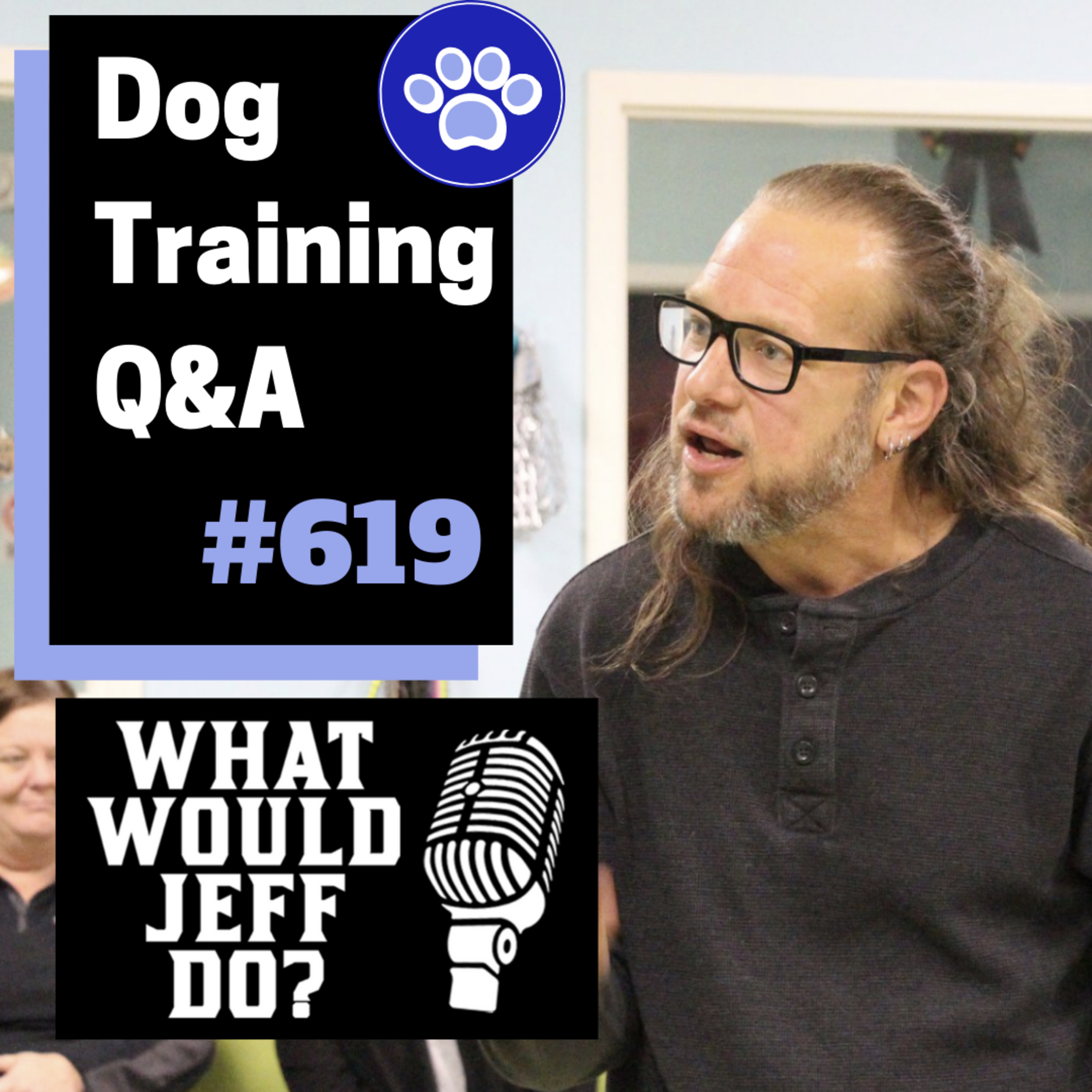 Dog Training Q & A What Would Jeff Do? With Jeff Gellman of Solid K9 Training
