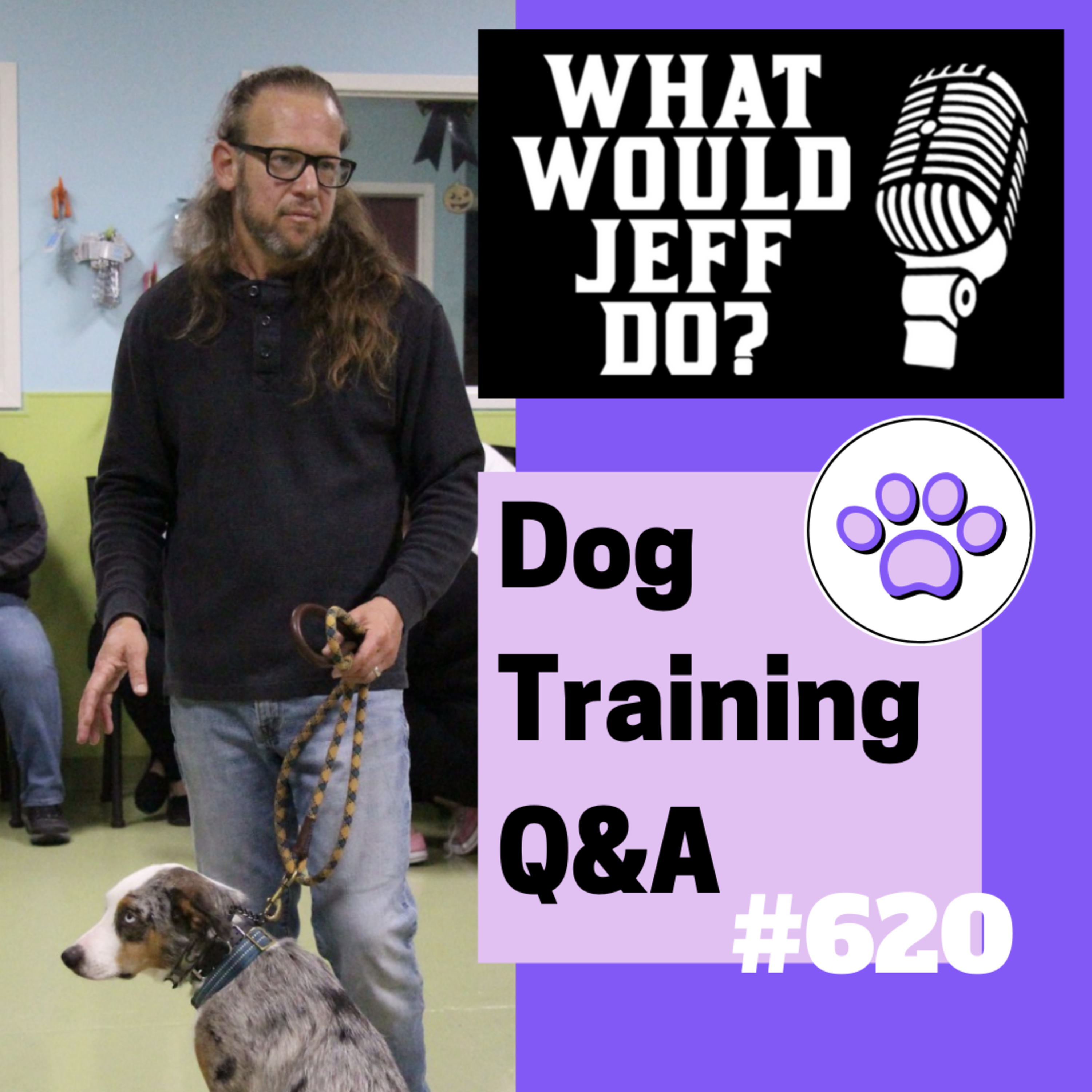 Dog Training Q & A What Would Jeff Do? With Jeff Gellman of Solid K9 Training