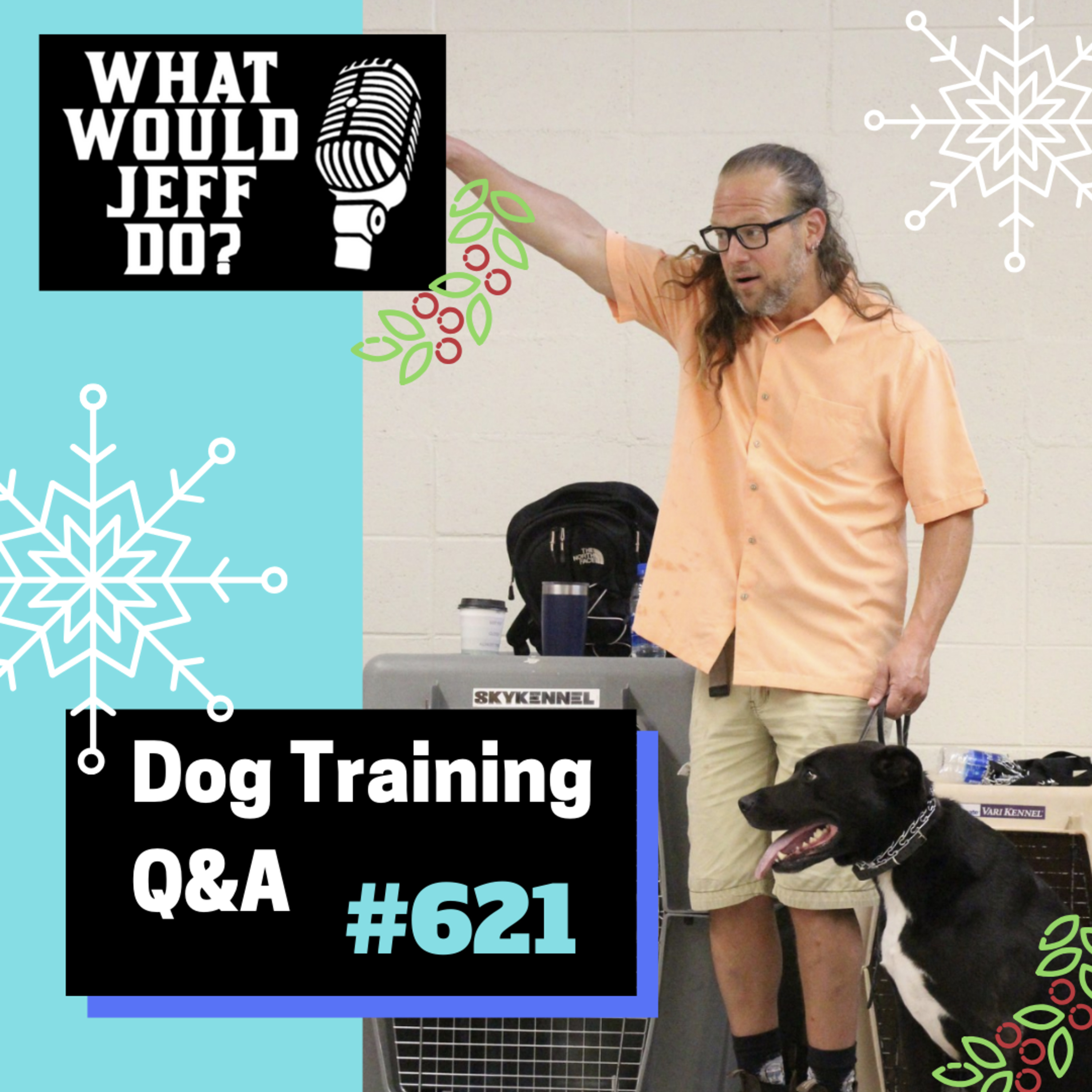 Dog Training Q & A What Would Jeff Do? With Jeff Gellman of Solid K9 Training