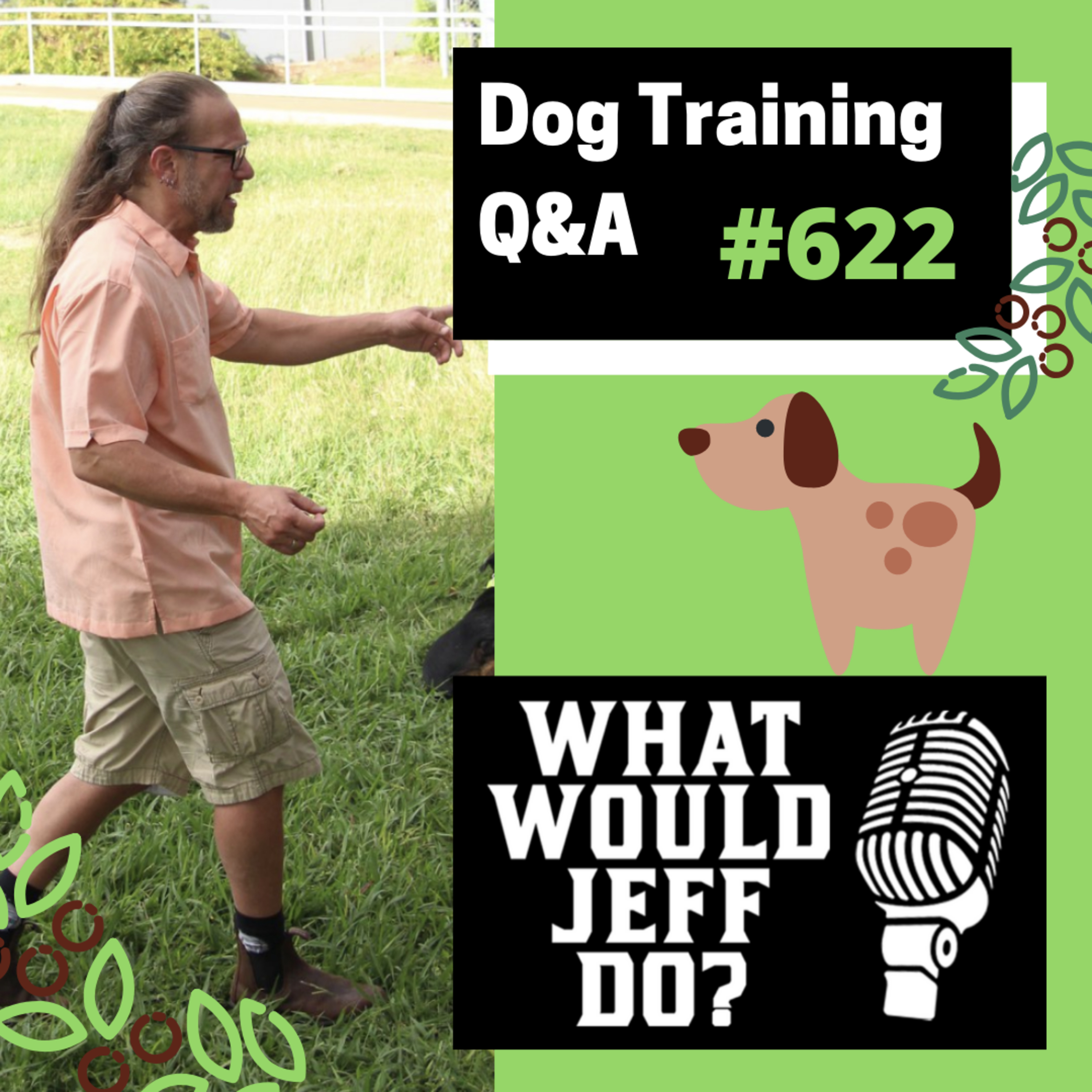 Dog Training Q & A What Would Jeff Do? With Jeff Gellman of Solid K9 Training