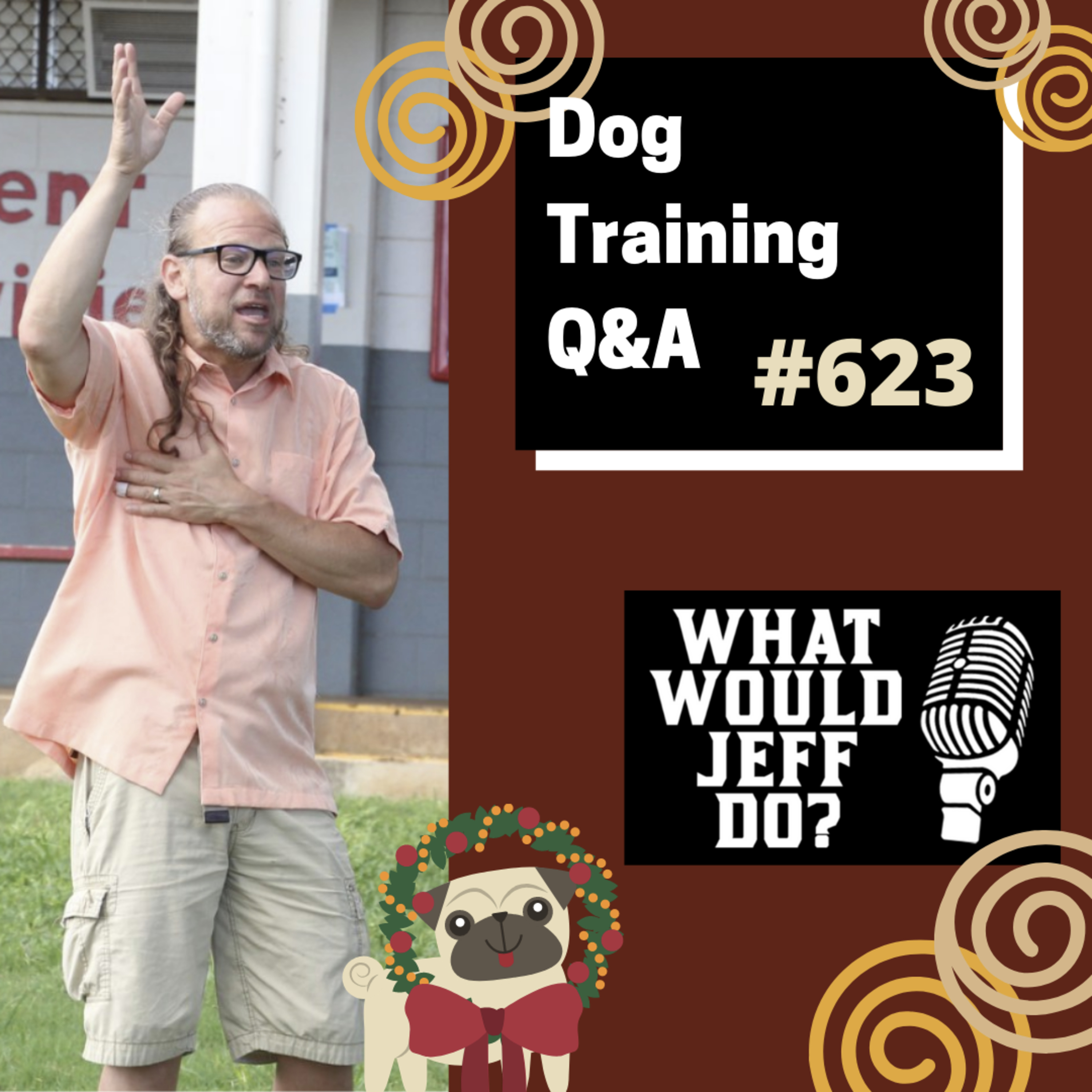 Dog Training Q & A What Would Jeff Do? With Jeff Gellman of Solid K9 Training