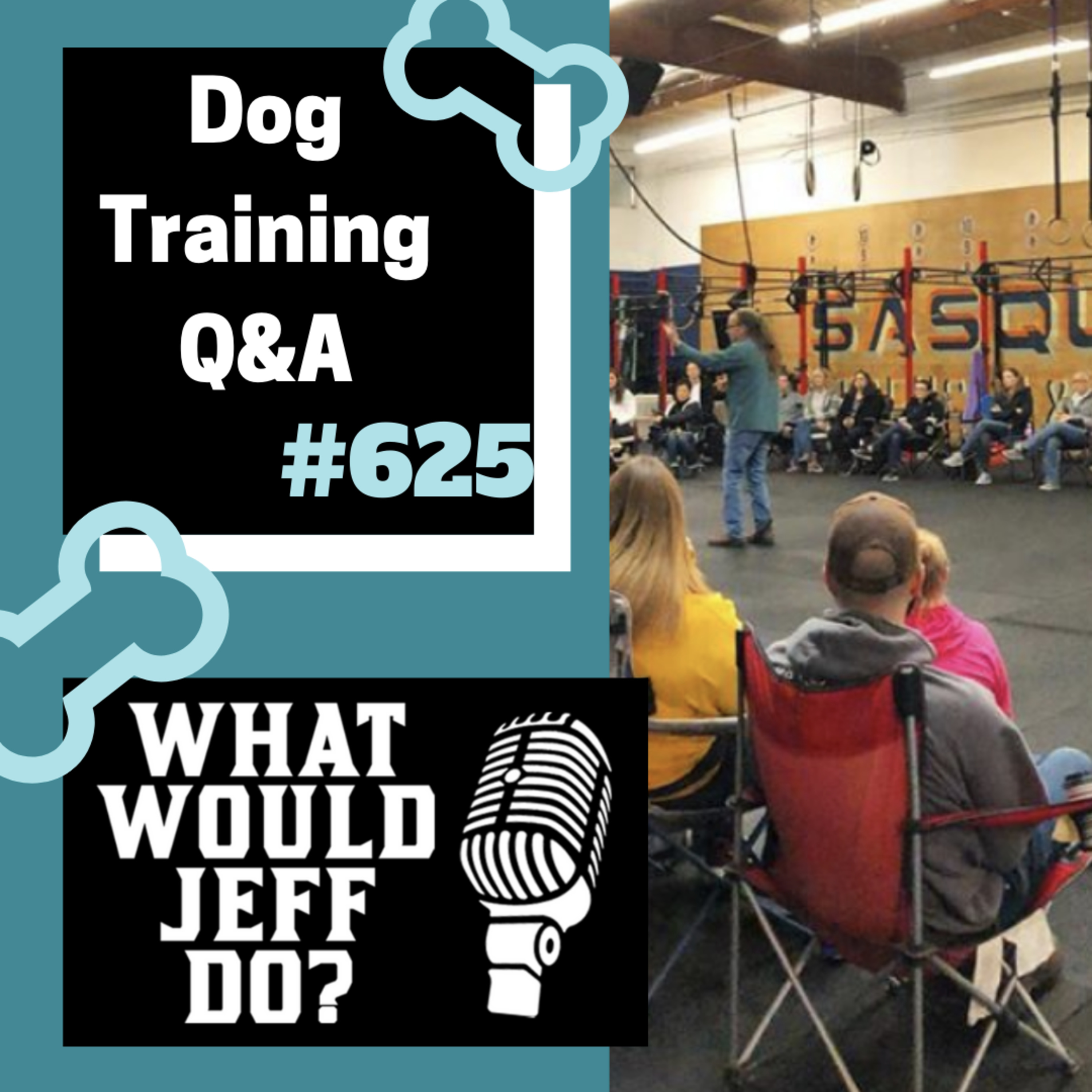 Dog Training Q & A What Would Jeff Do? With Jeff Gellman of Solid K9 Training