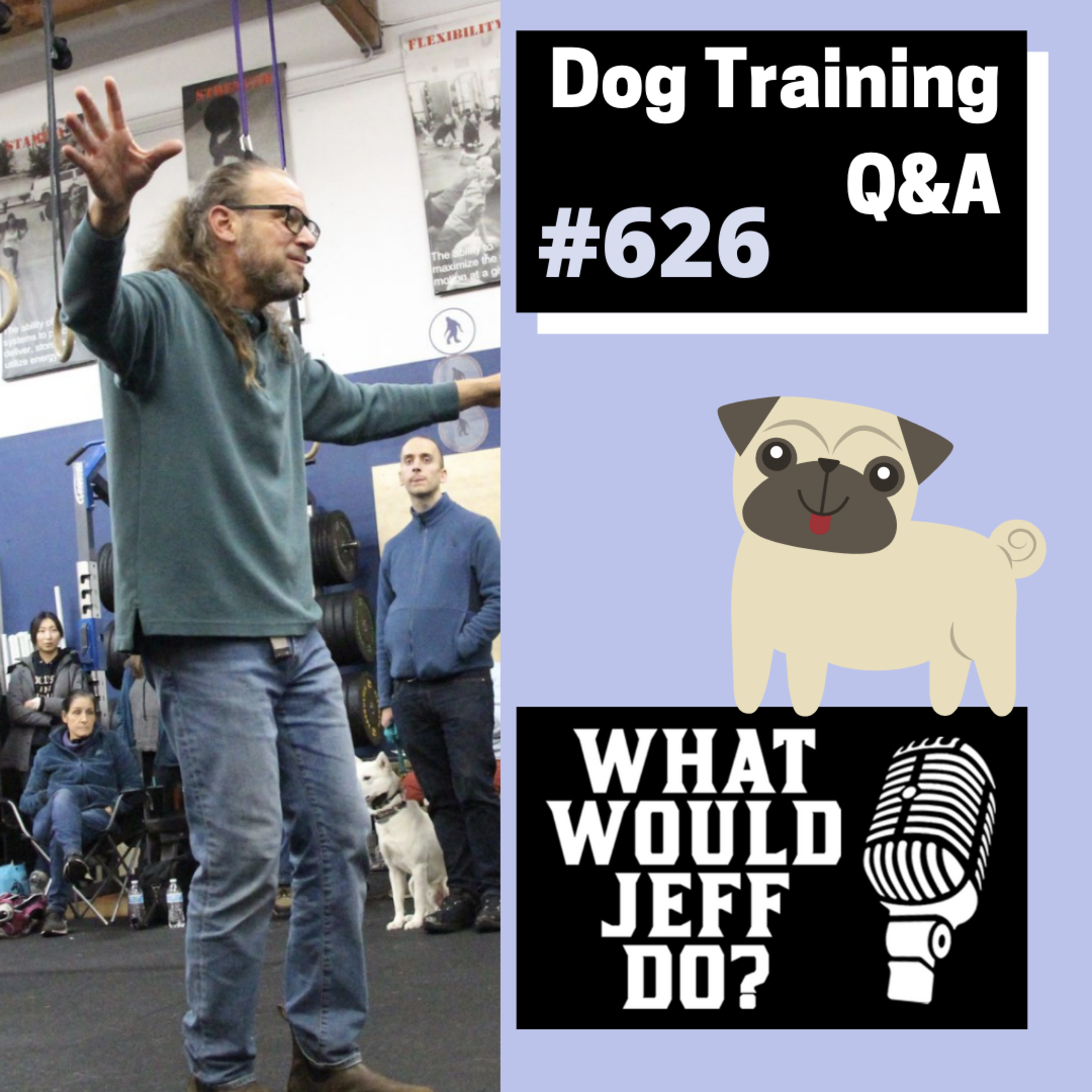 Dog Training Q & A What Would Jeff Do? With Jeff Gellman of Solid K9 Training