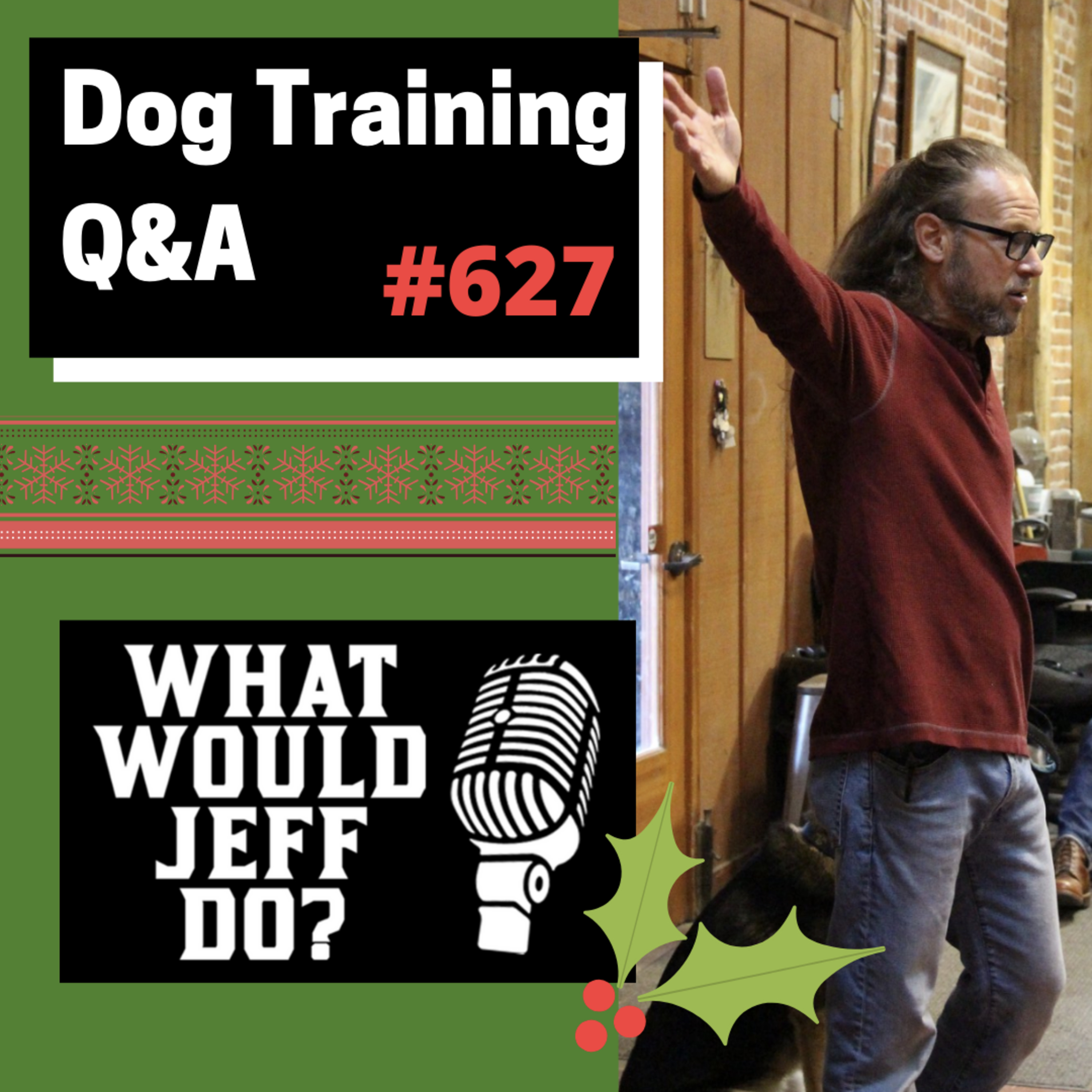Dog Training Q & A What Would Jeff Do? With Jeff Gellman of Solid K9 Training