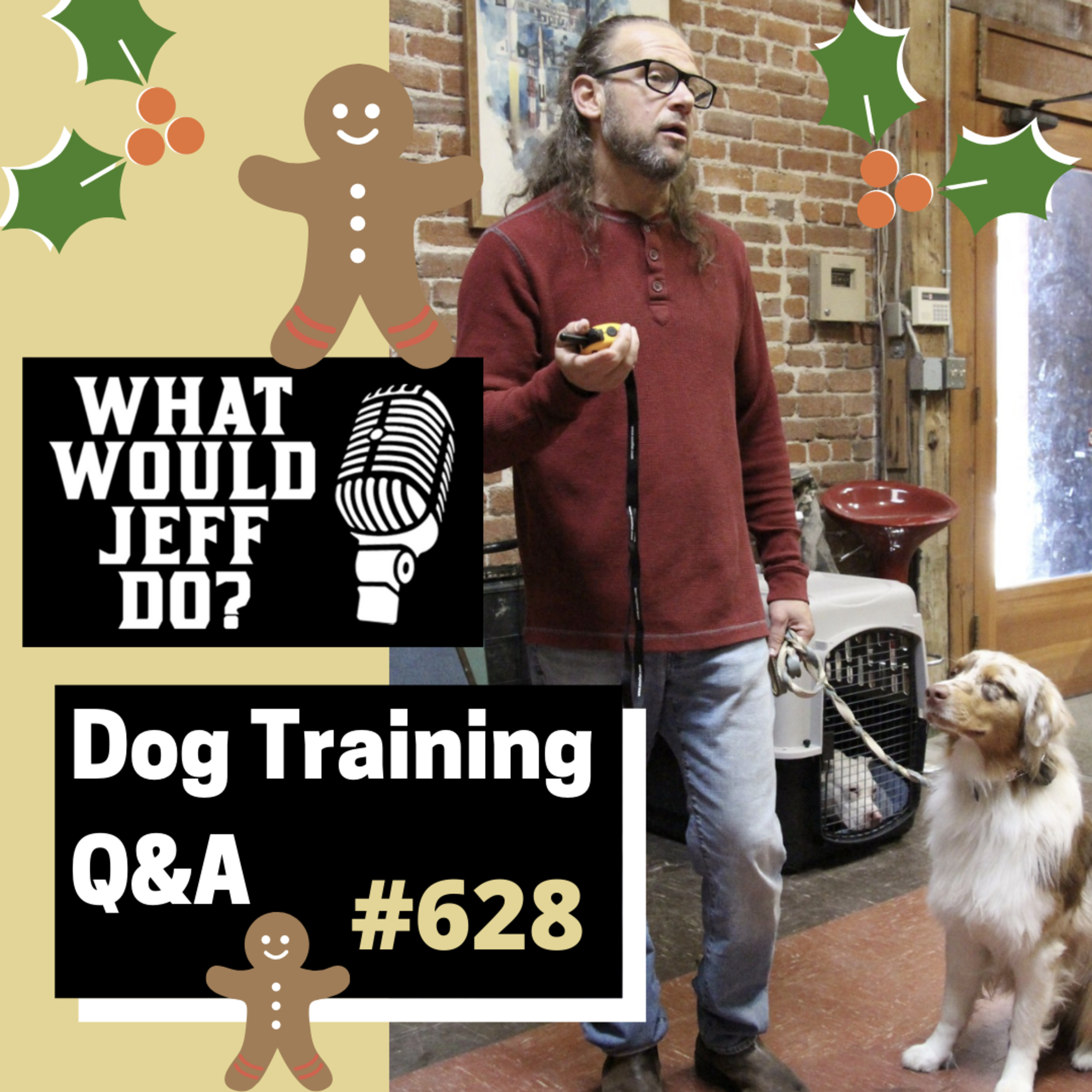 Dog Training Q & A What Would Jeff Do? With Jeff Gellman of Solid K9 Training
