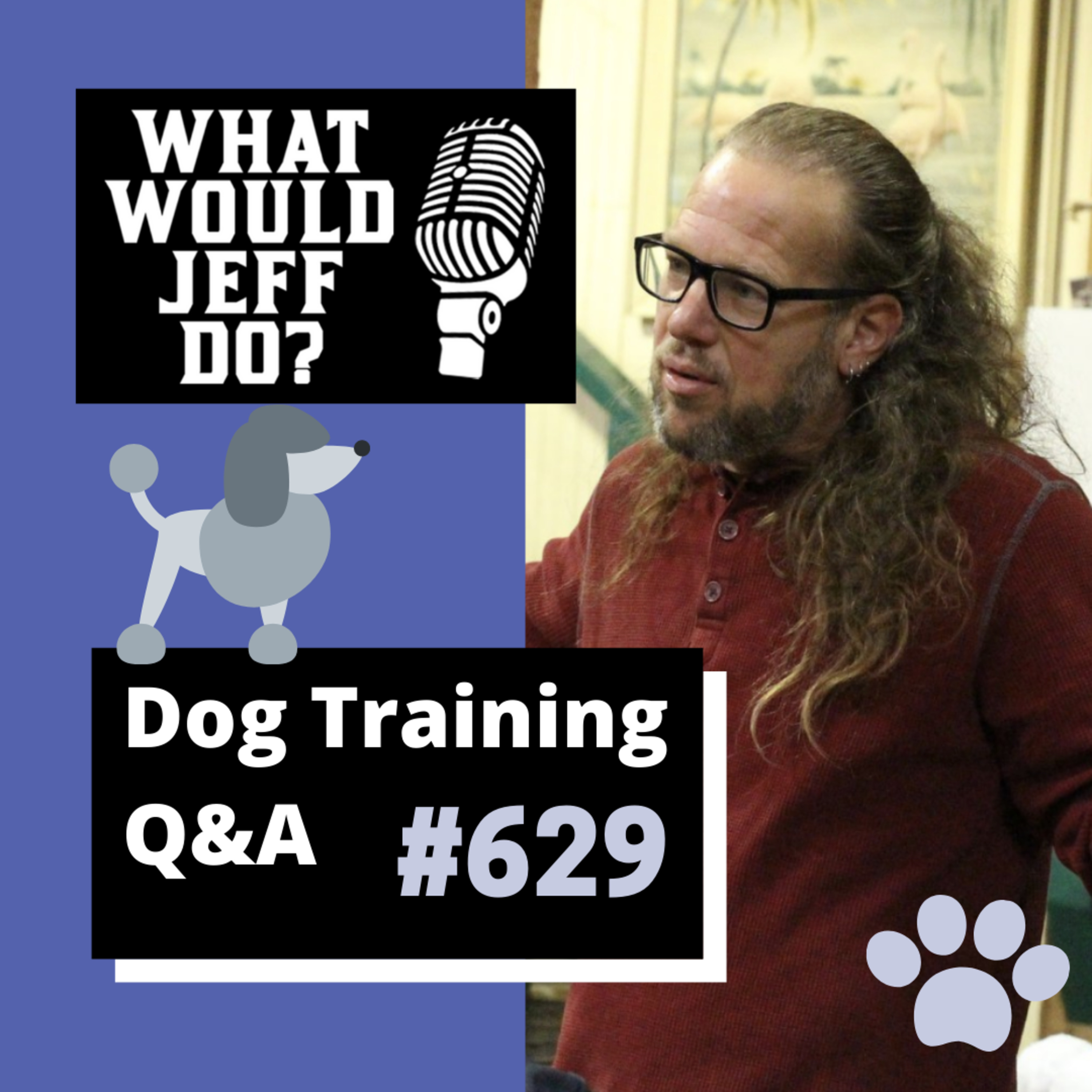Dog Training Q & A What Would Jeff Do? With Jeff Gellman of Solid K9 Training