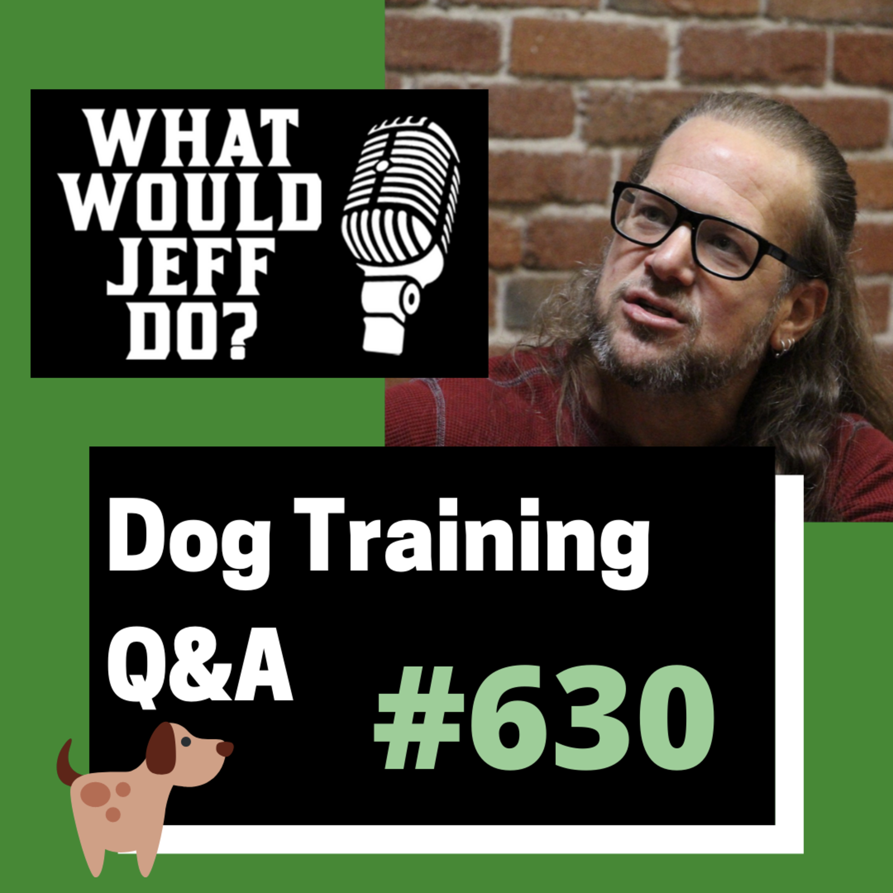 Dog Training Q & A What Would Jeff Do? With Jeff Gellman of Solid K9 Training