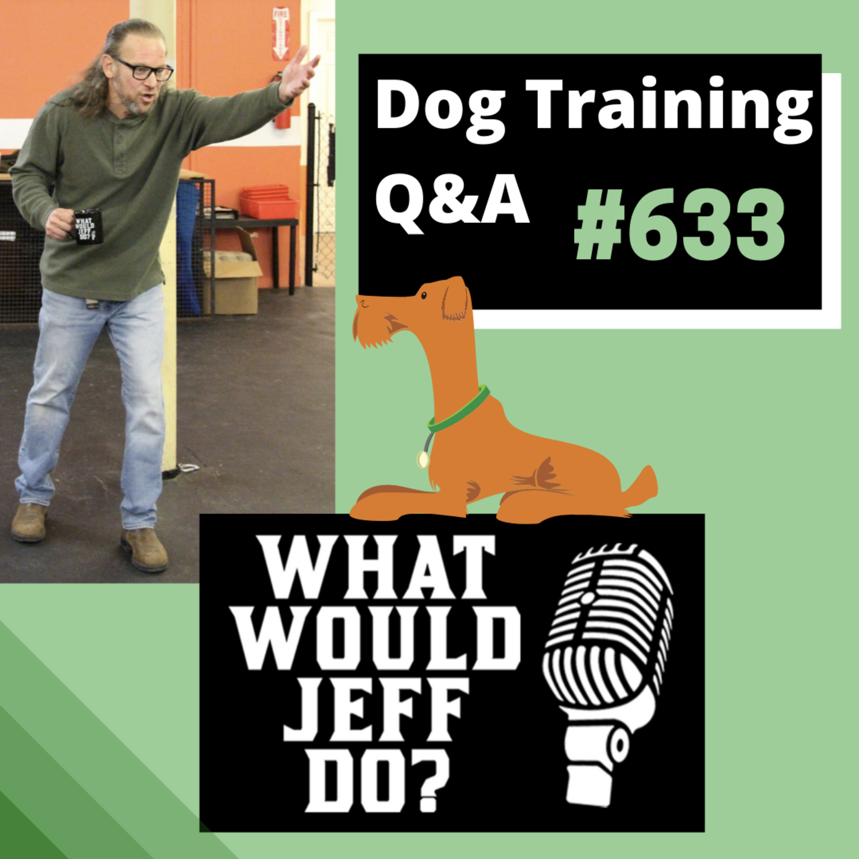 Dog Training - Soft Dogs - Stop Dog Humping - What Would Jeff Do? Q&A Ep.633 (2019) episode artwork