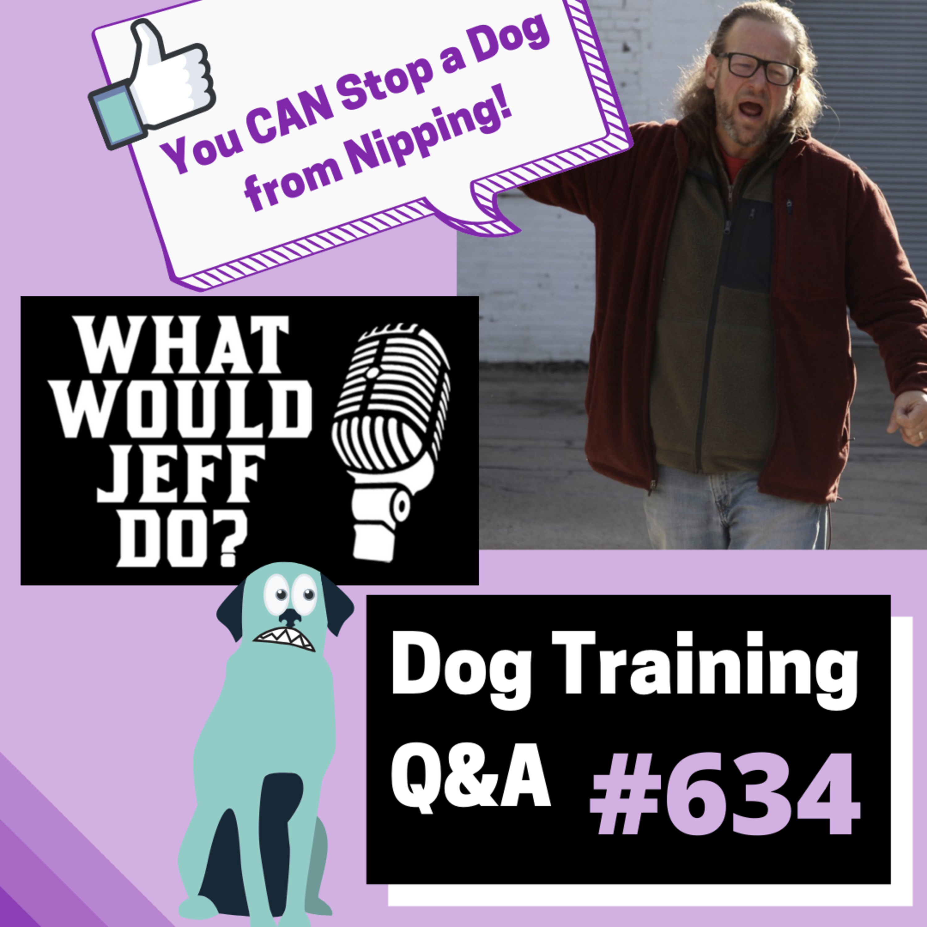 Dog Training Q & A What Would Jeff Do? With Jeff Gellman of Solid K9 Training