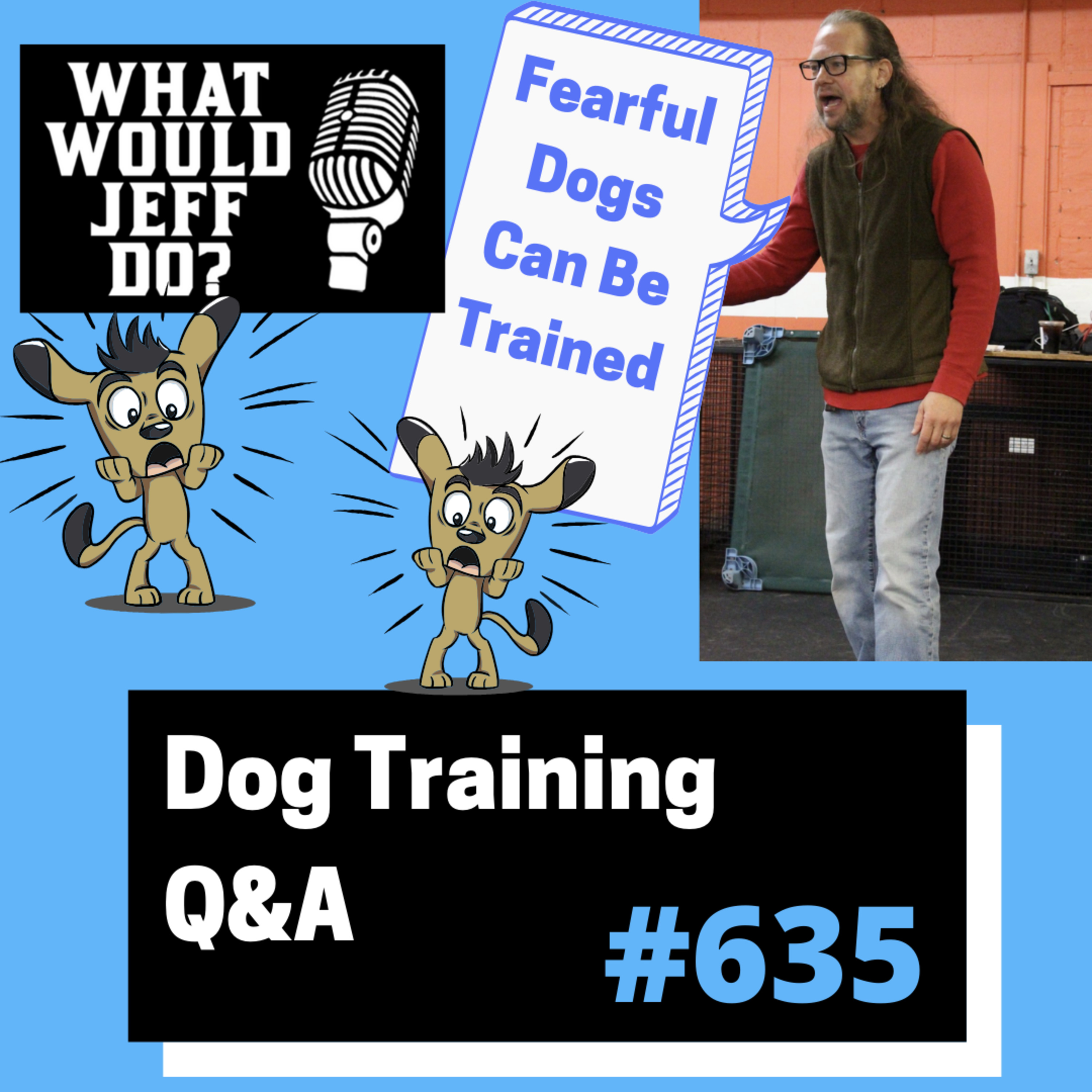 Dog Training Q & A What Would Jeff Do? With Jeff Gellman of Solid K9 Training