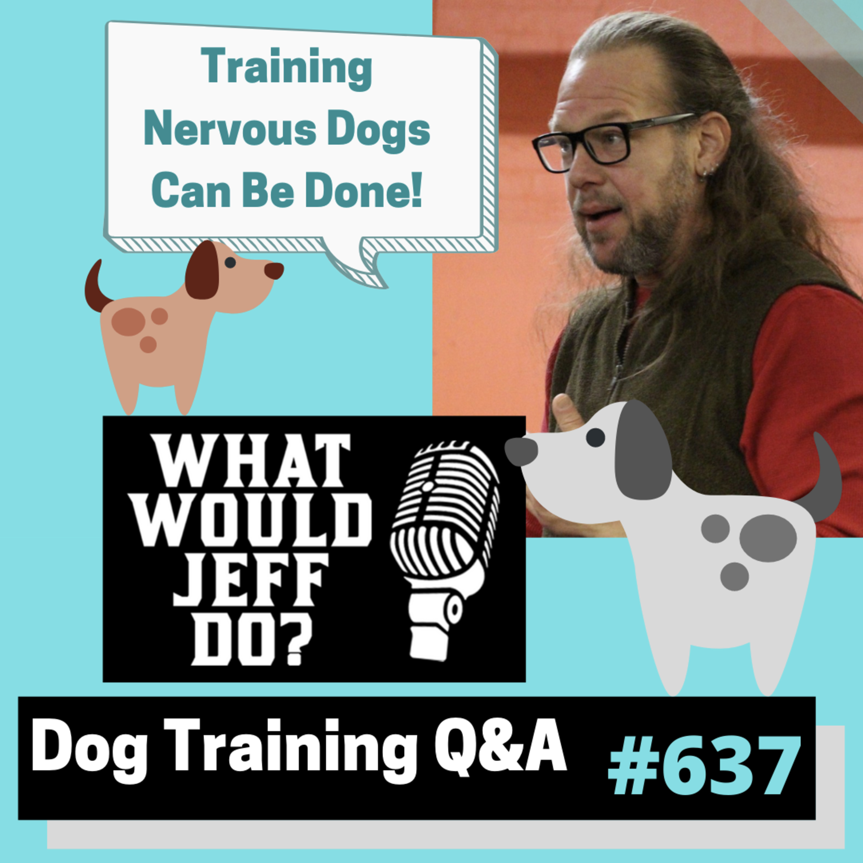 Dog Training Q & A What Would Jeff Do? With Jeff Gellman of Solid K9 Training